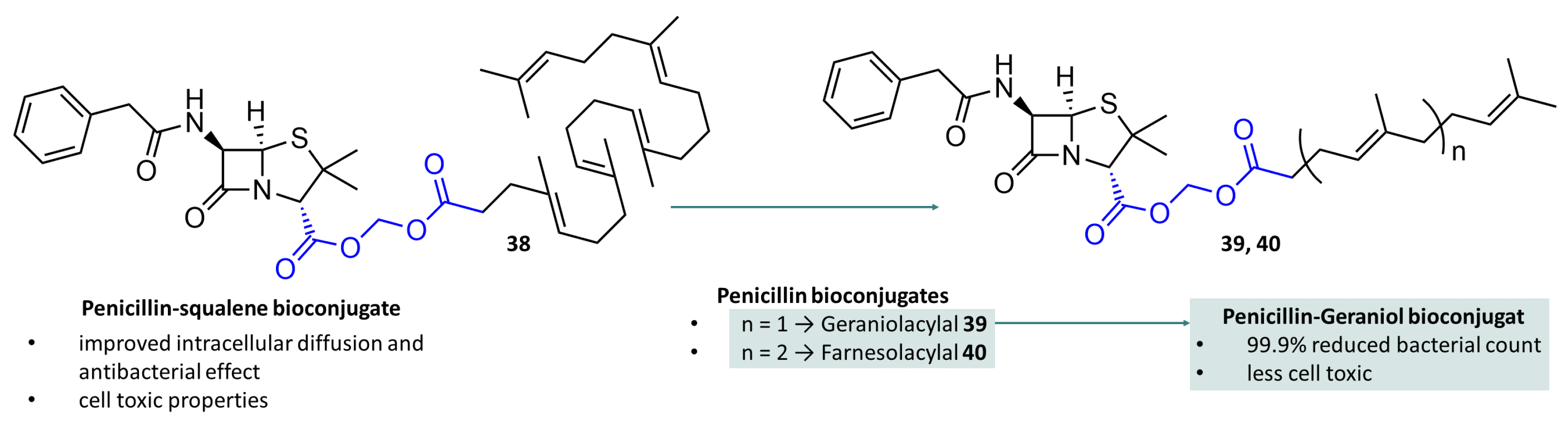 Molecules 29 04451 g011 Molecules 29 04451 g011