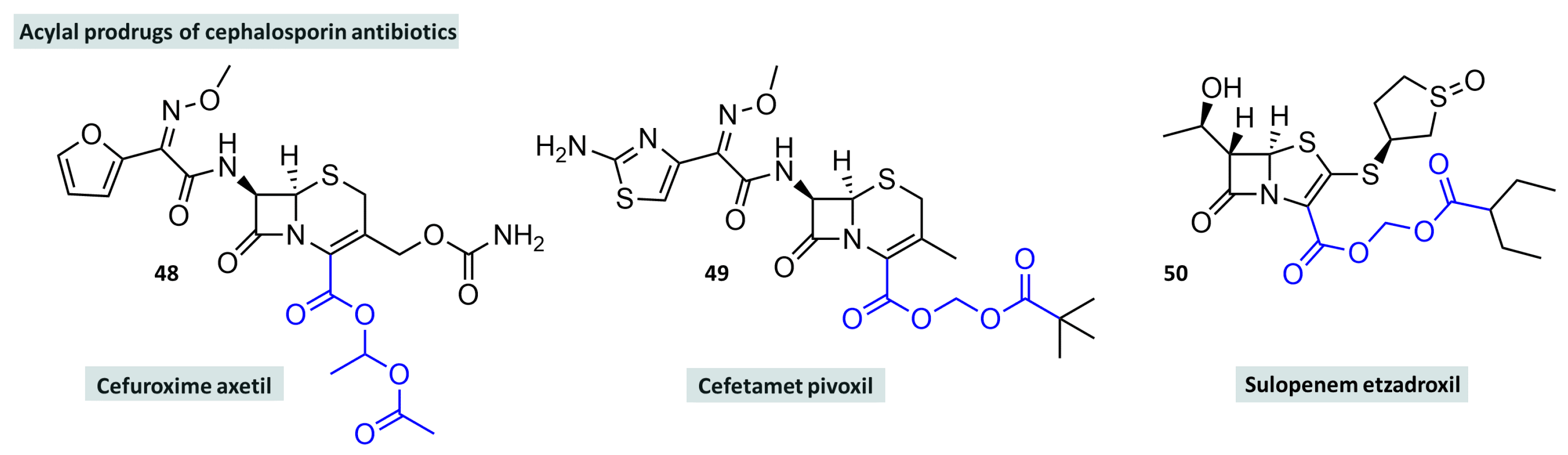 Molecules 29 04451 g014 Molecules 29 04451 g014