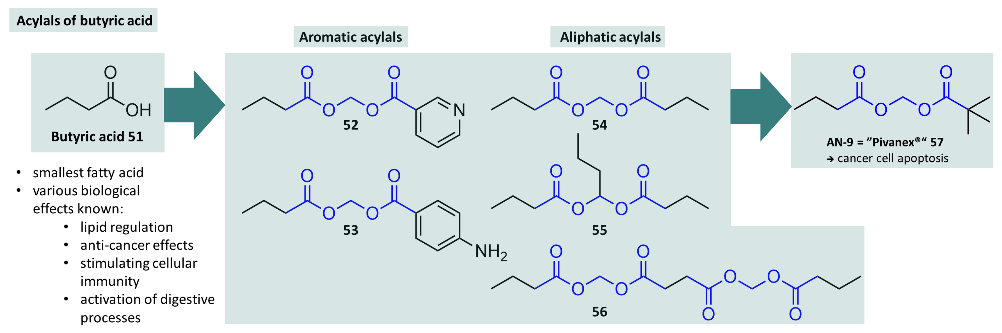 Molecules 29 04451 g015 Molecules 29 04451 g015