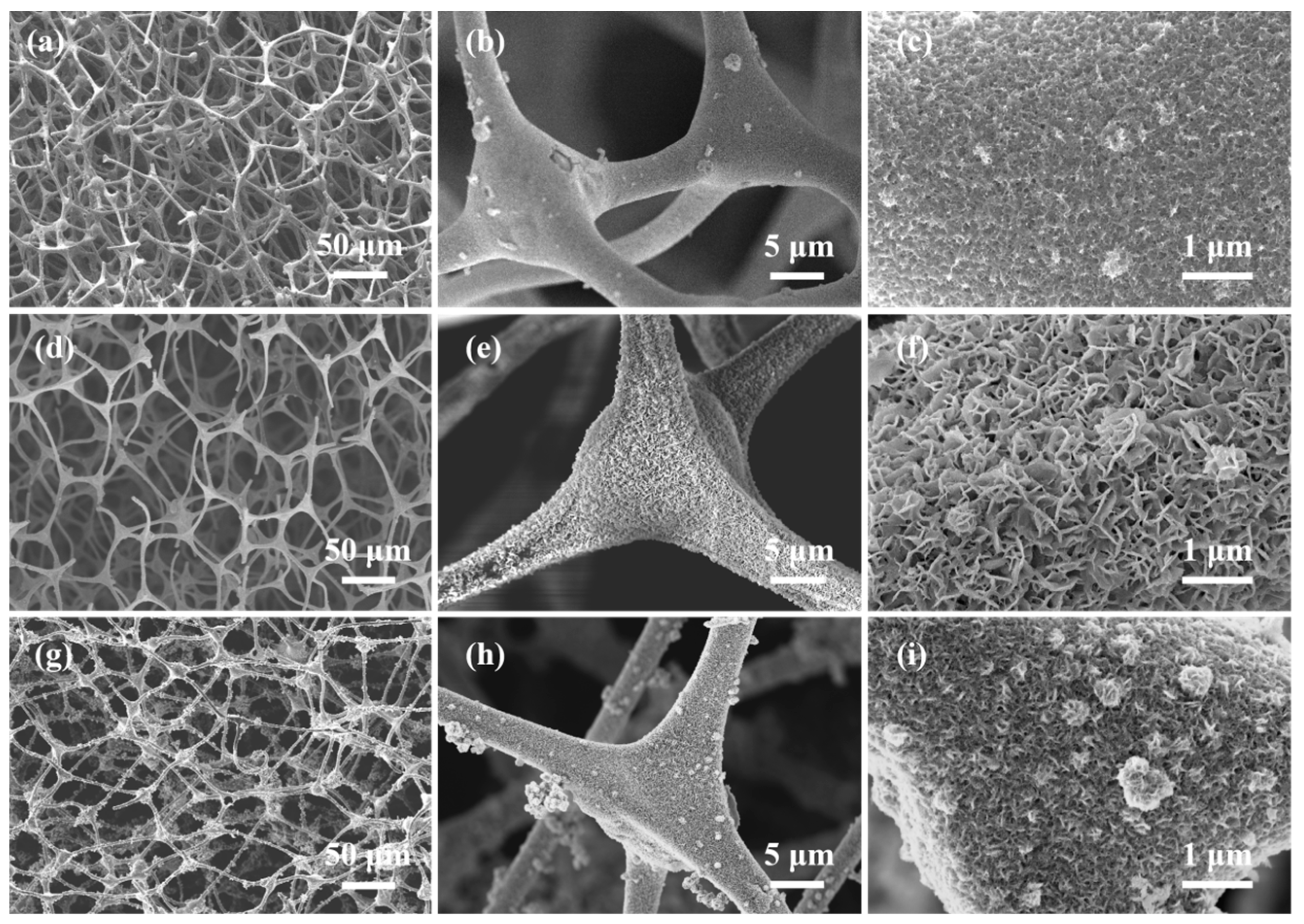 Molecules 29 04453 g001