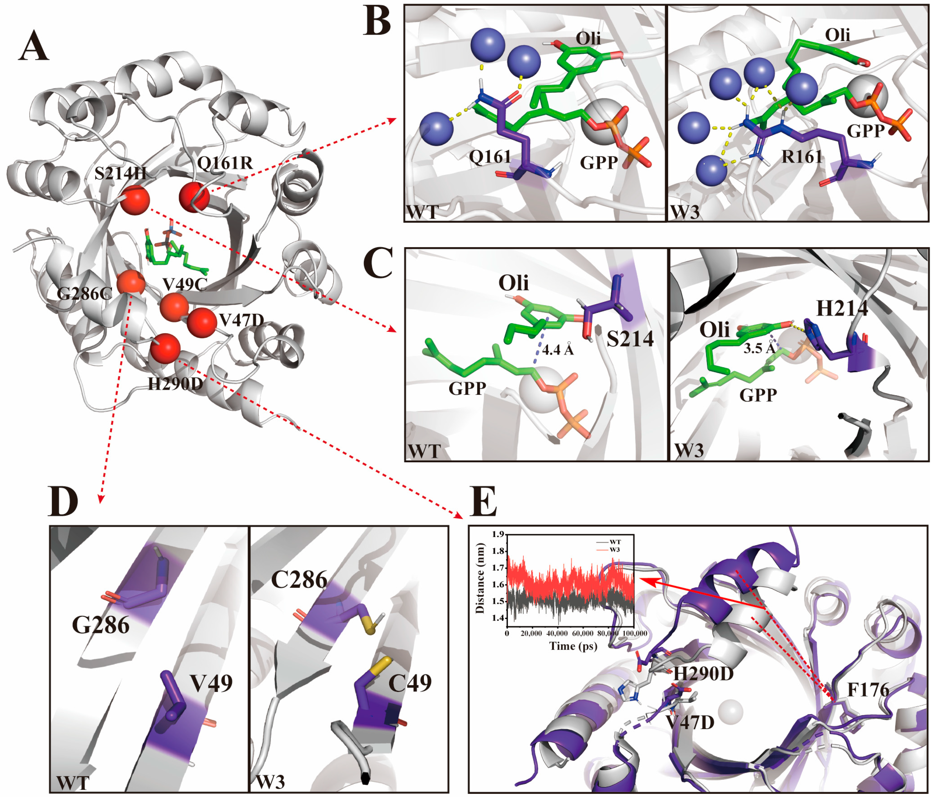 Molecules 29 04454 g004