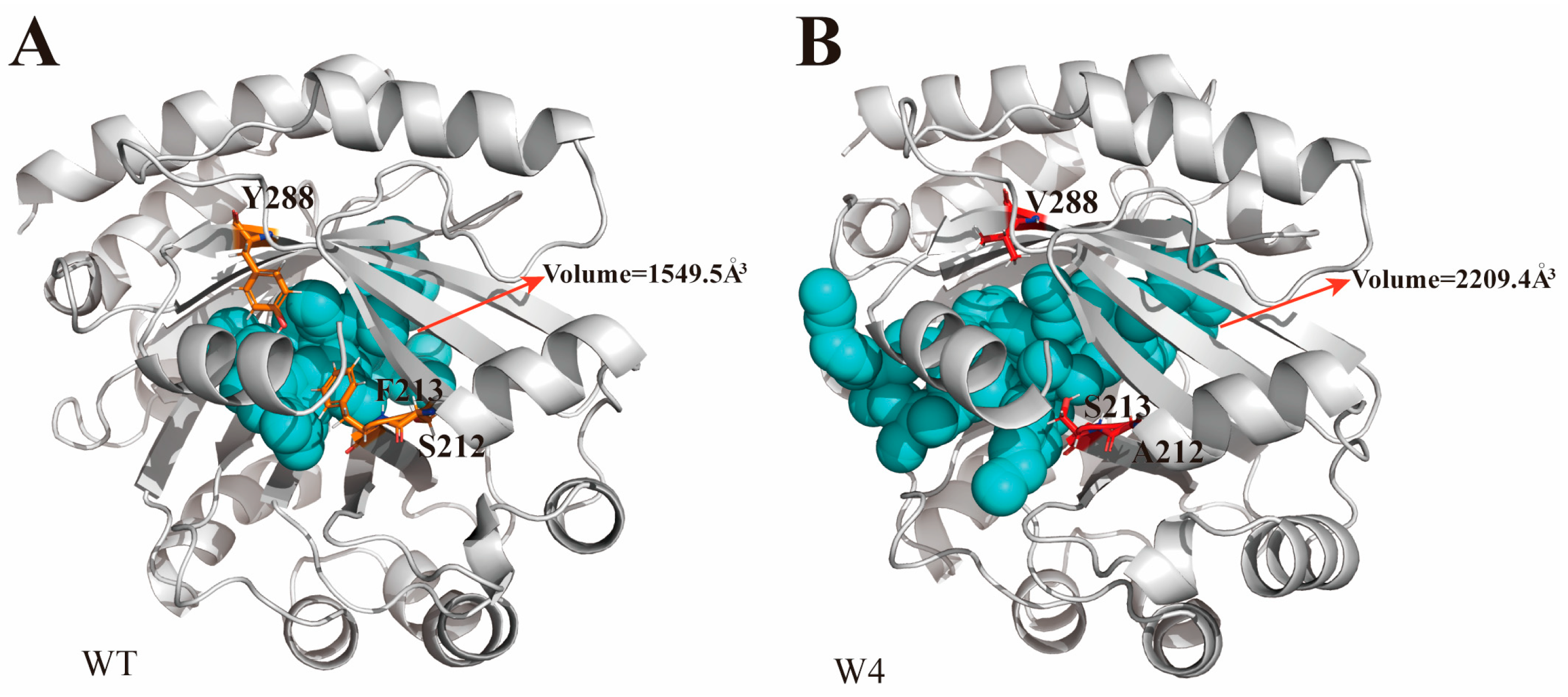 Molecules 29 04454 g005