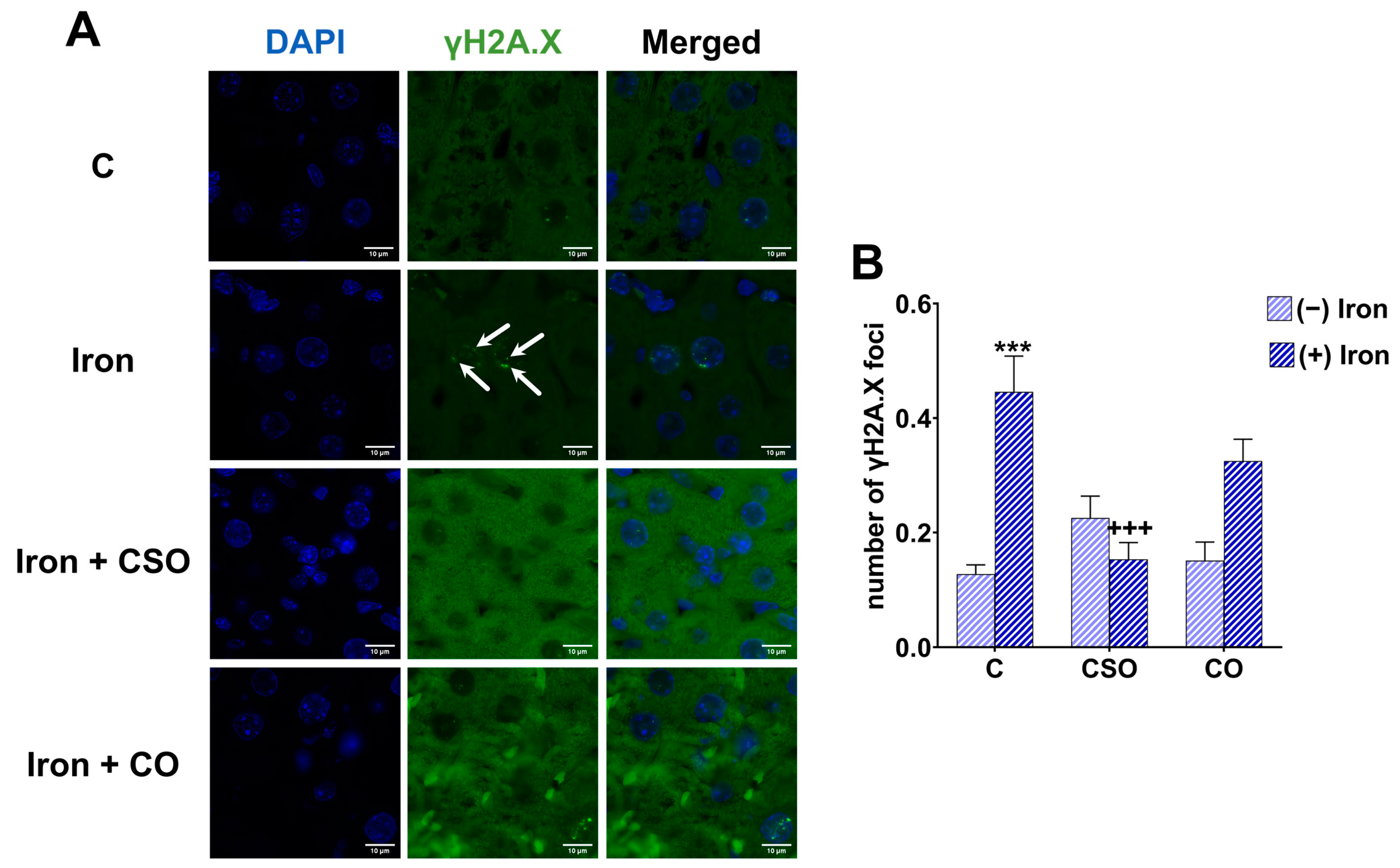 Molecules 29 04463 g005