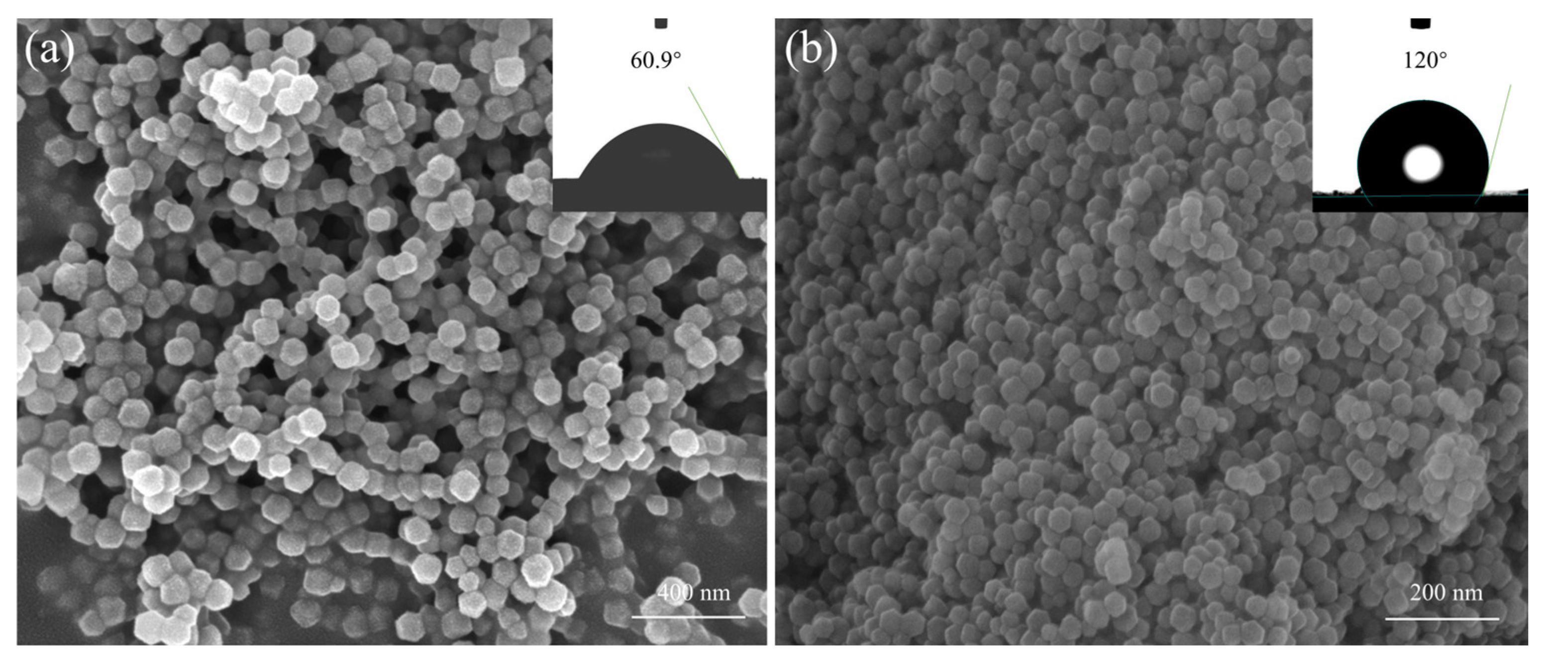Molecules 29 04465 g003