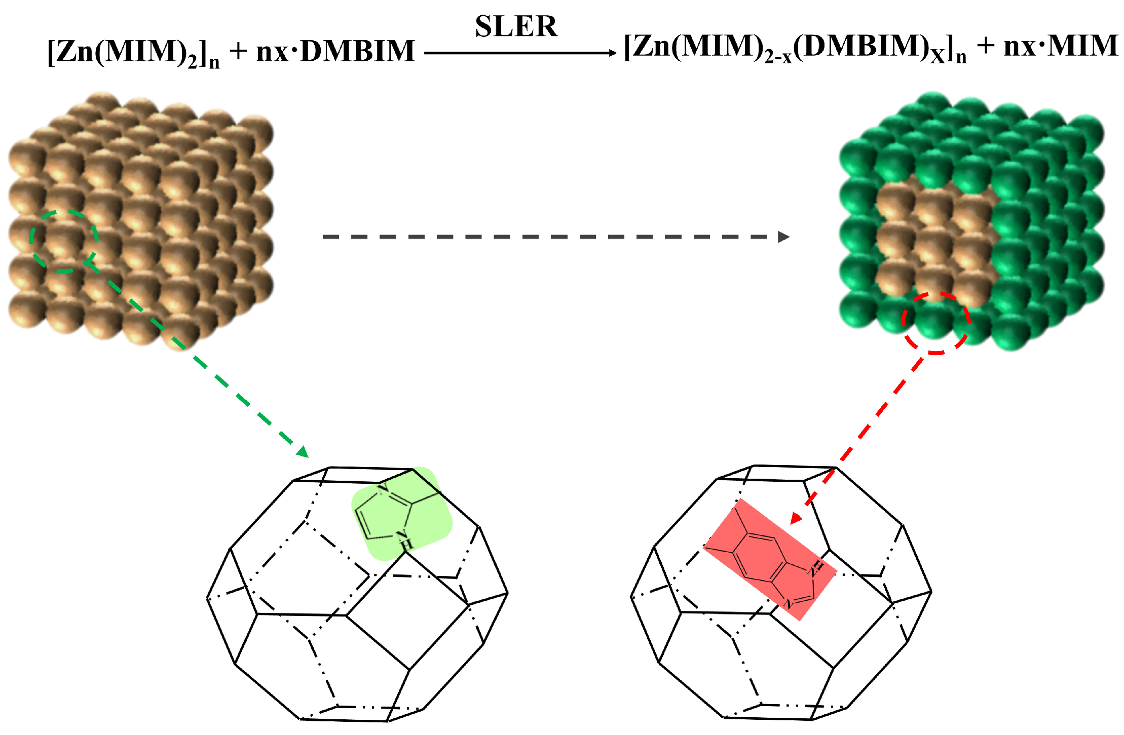 Molecules 29 04465 g011