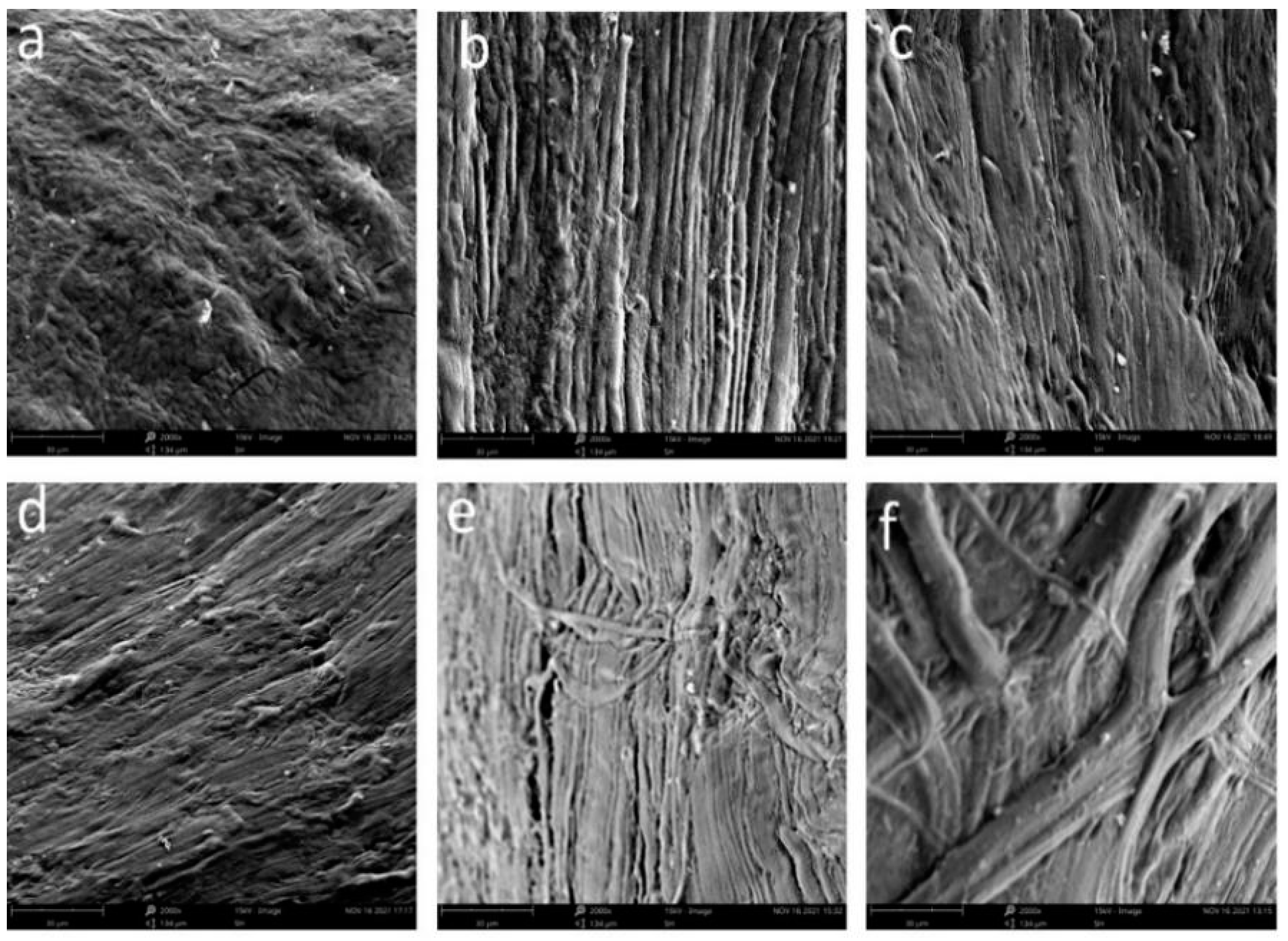 Molecules 29 04466 g003