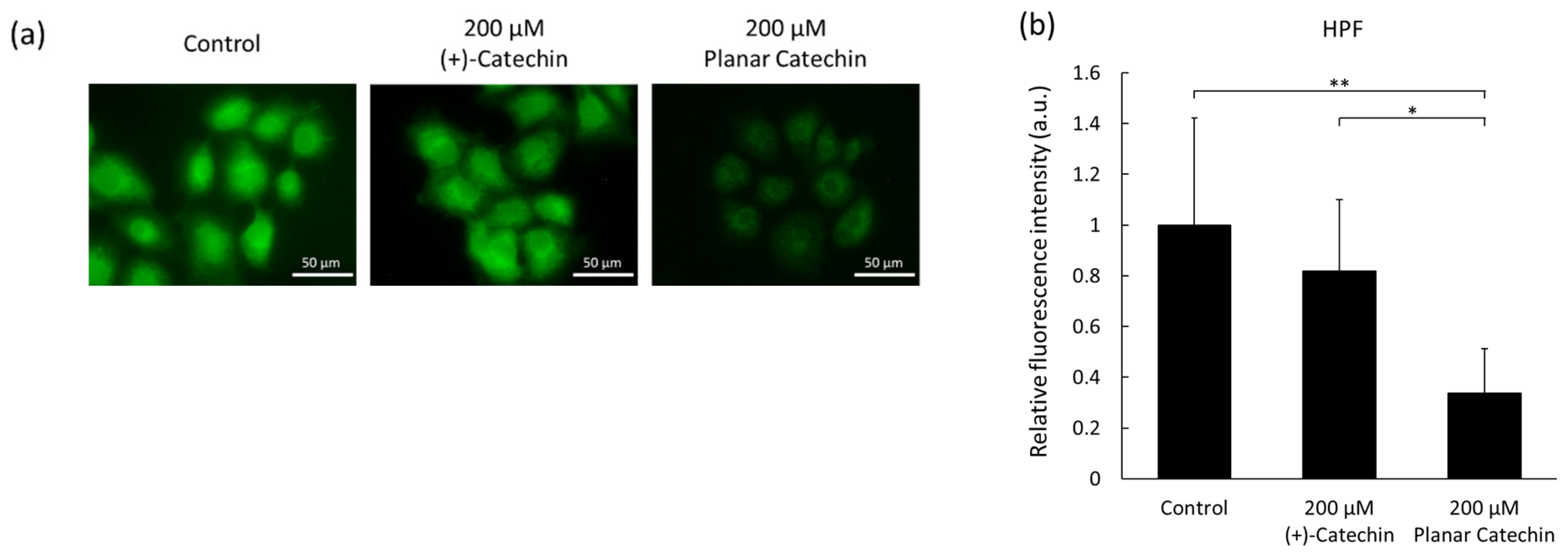 Molecules 29 04467 g003