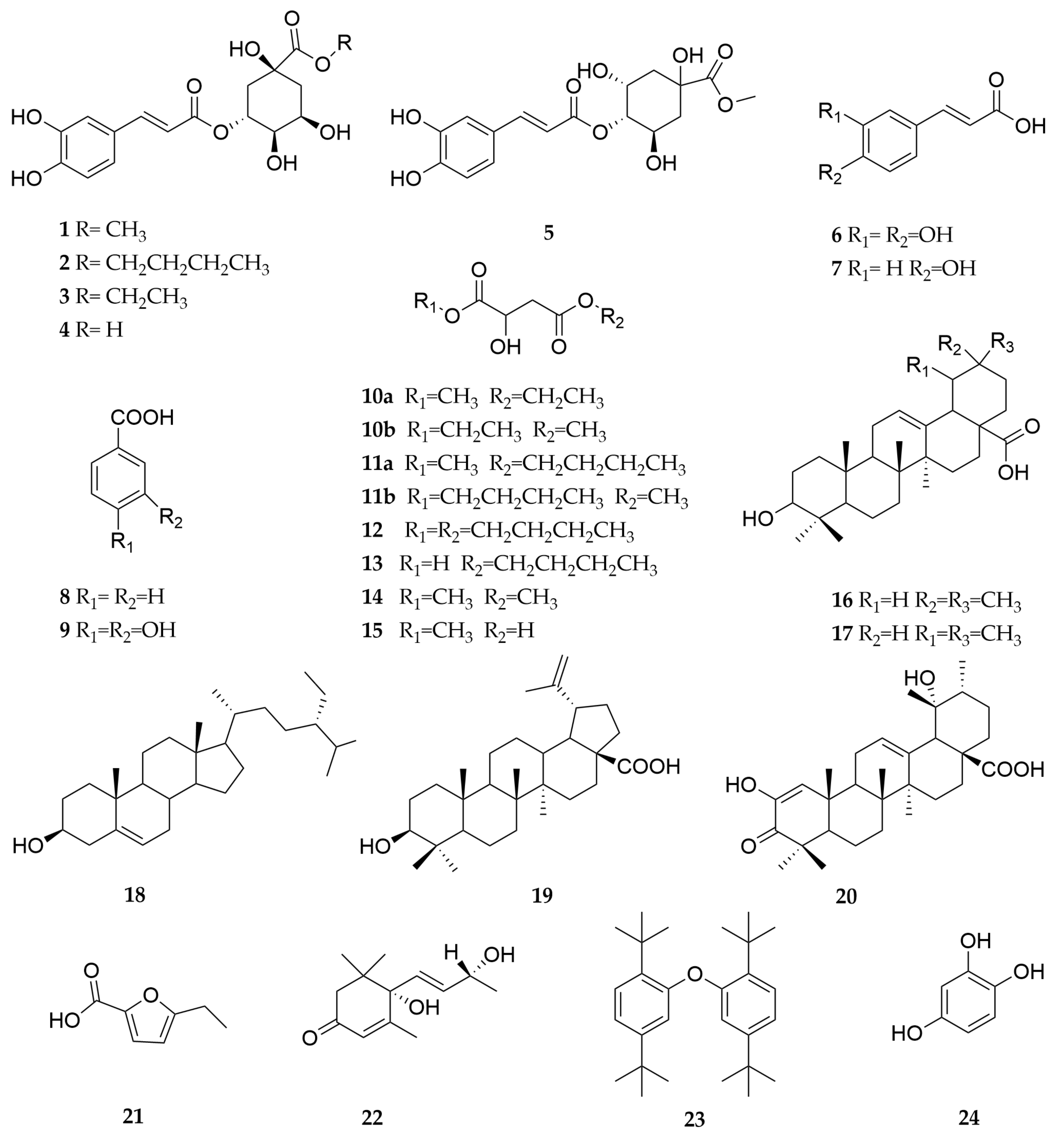 Molecules 29 04468 g002