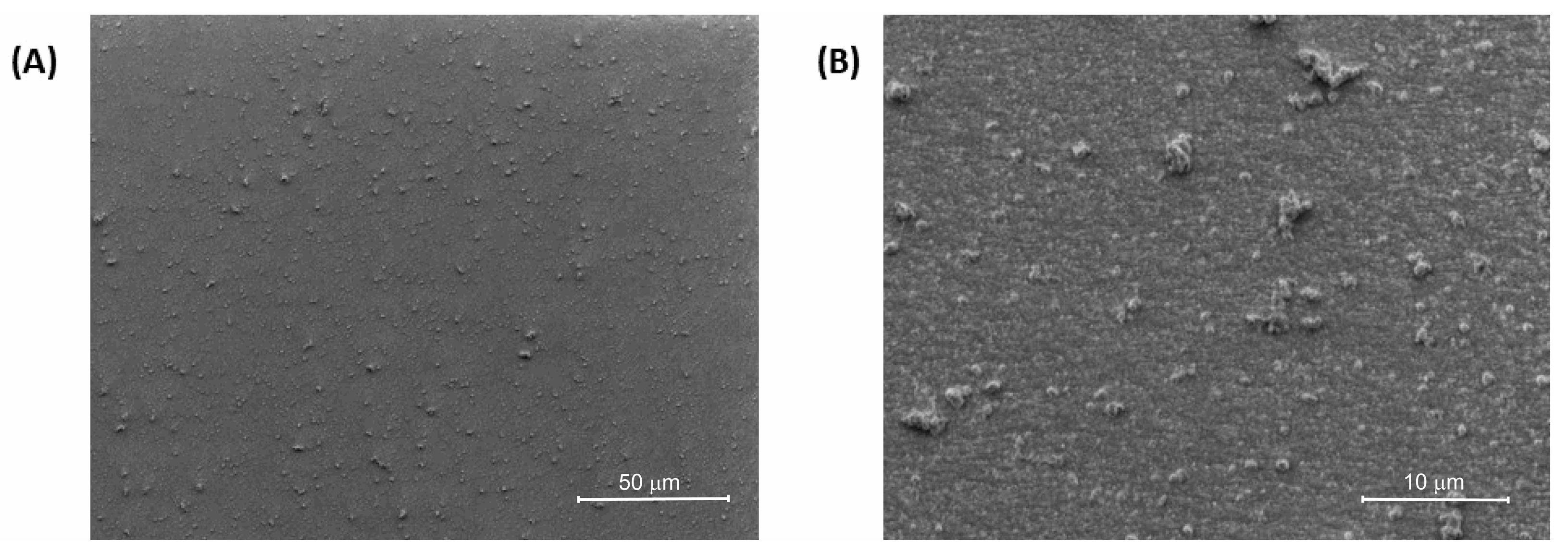 Molecules 29 04470 g005 Molecules 29 04470 g005