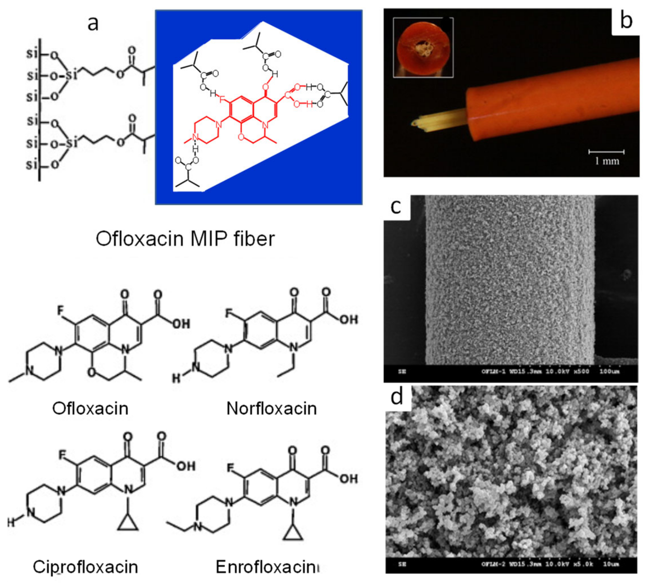 Molecules 29 04472 g006
