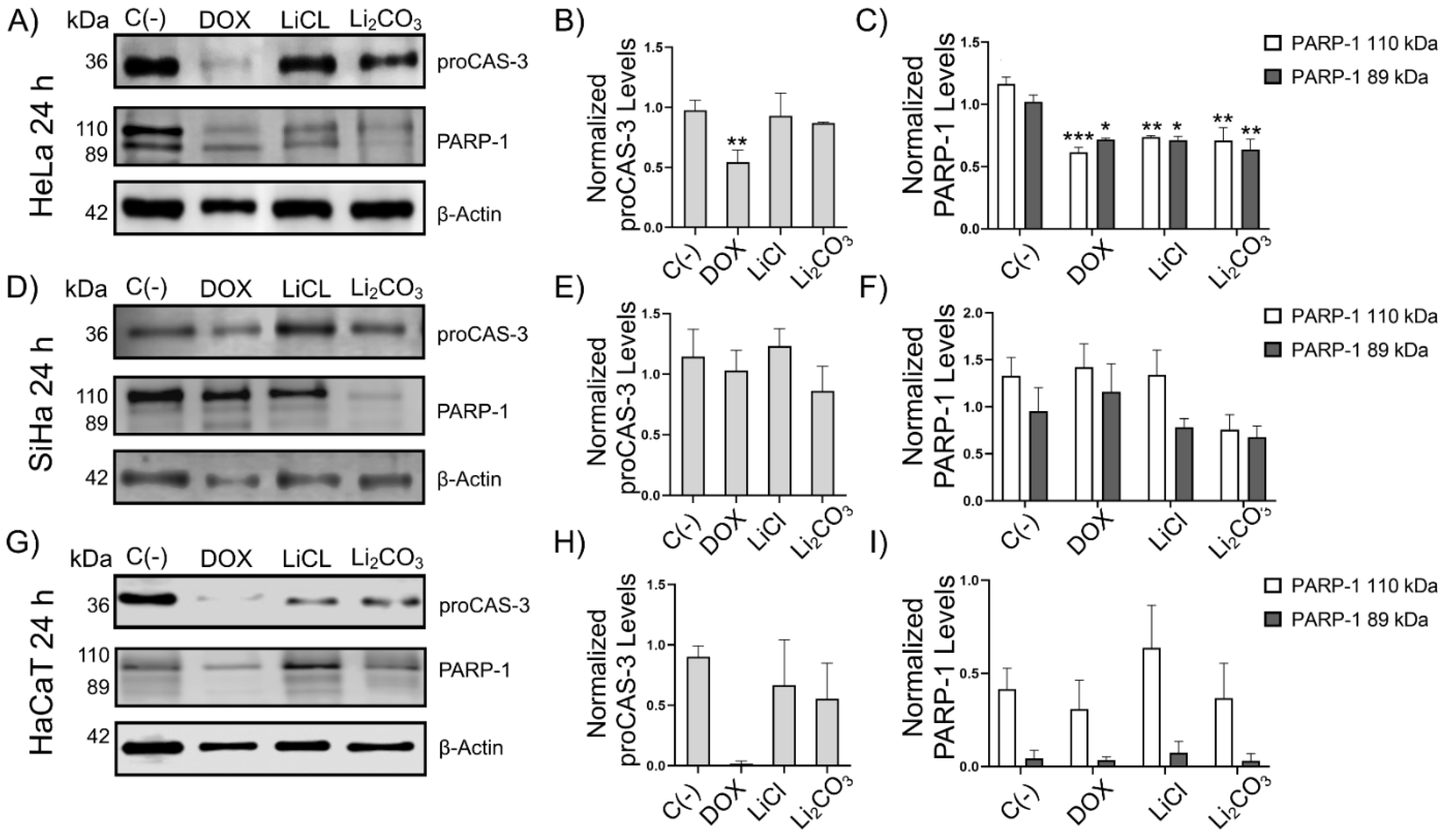 Molecules 29 04476 g002