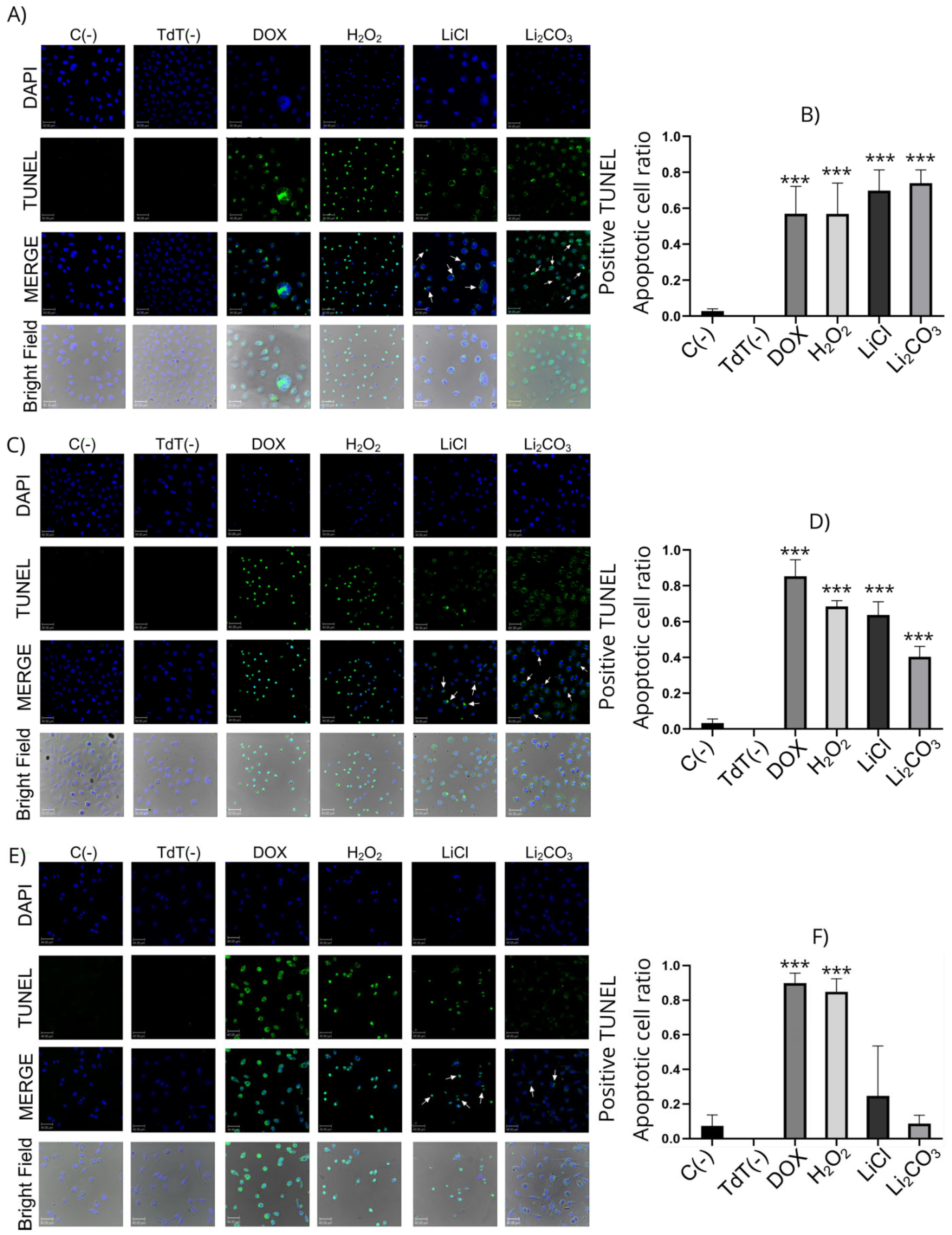 Molecules 29 04476 g004