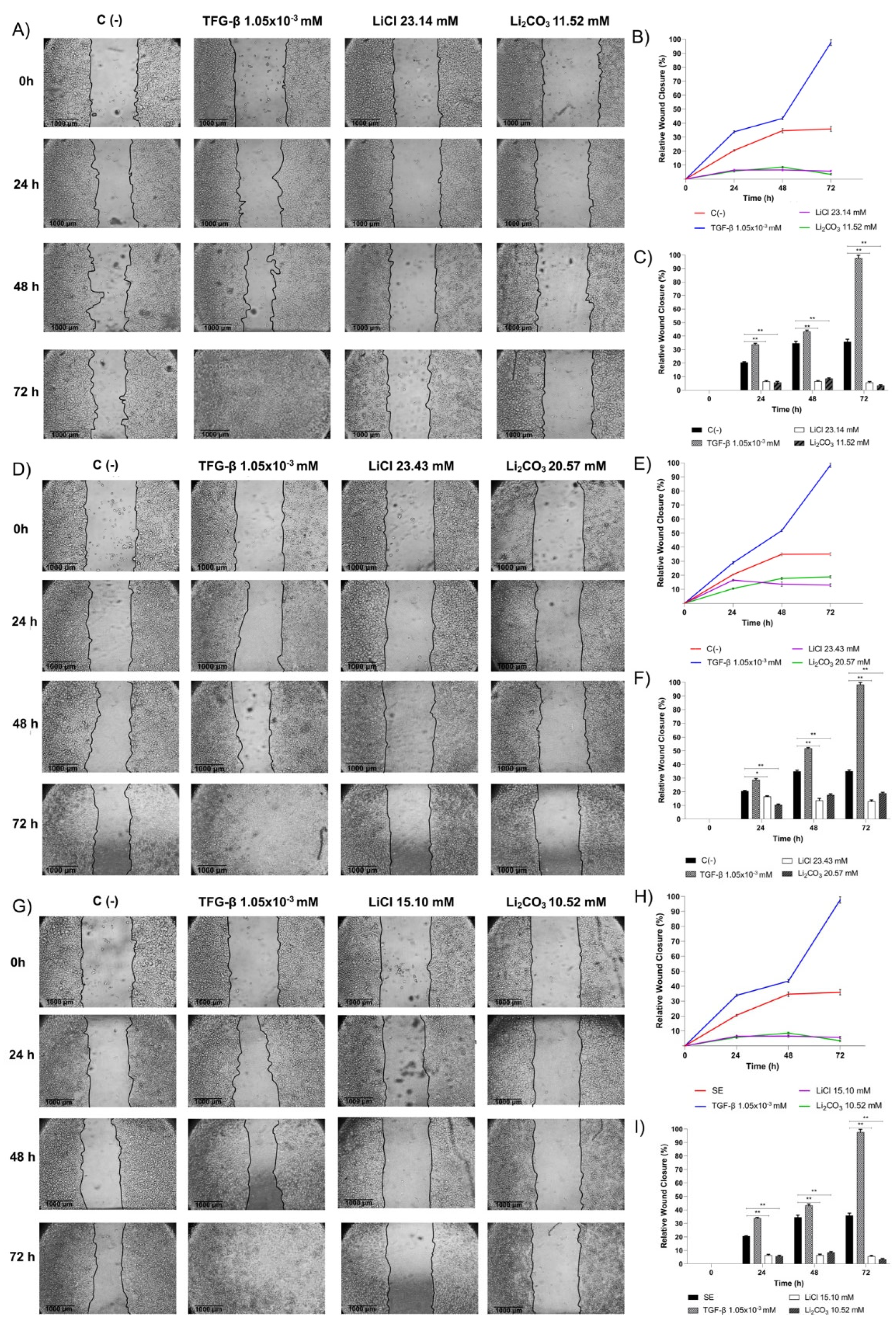 Molecules 29 04476 g007