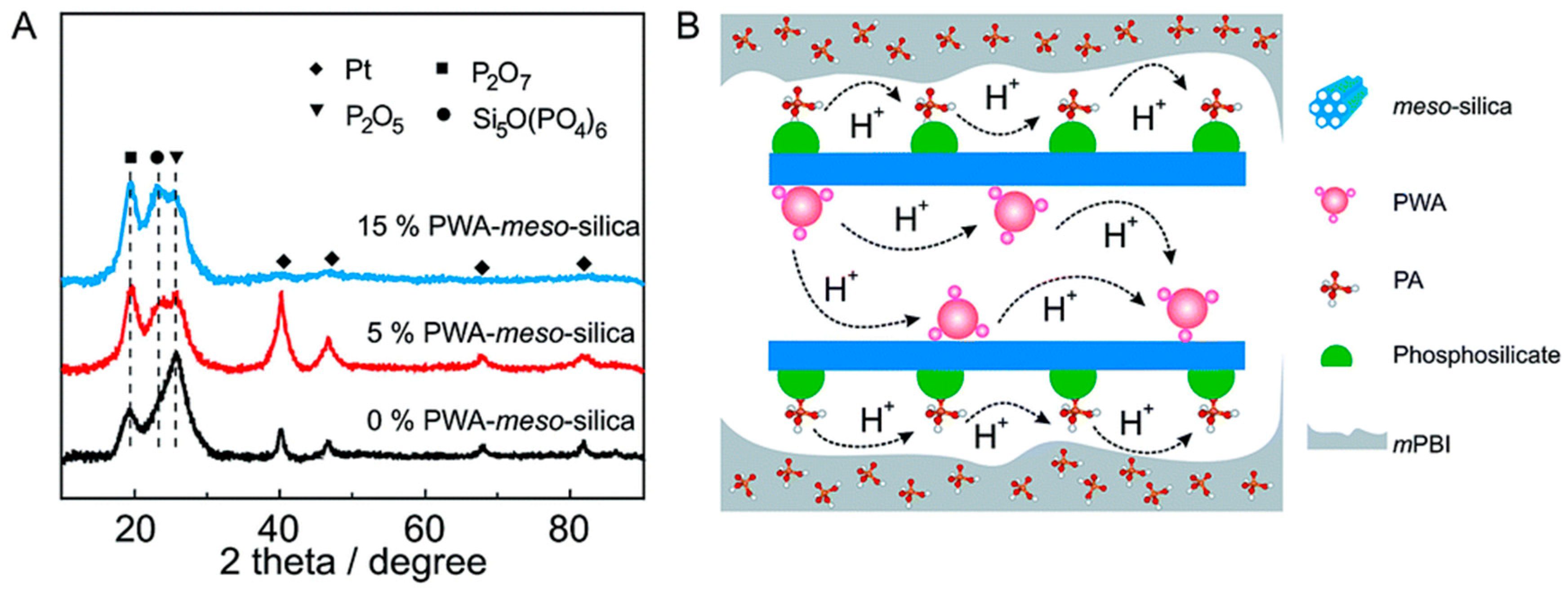 Molecules 29 04480 g008