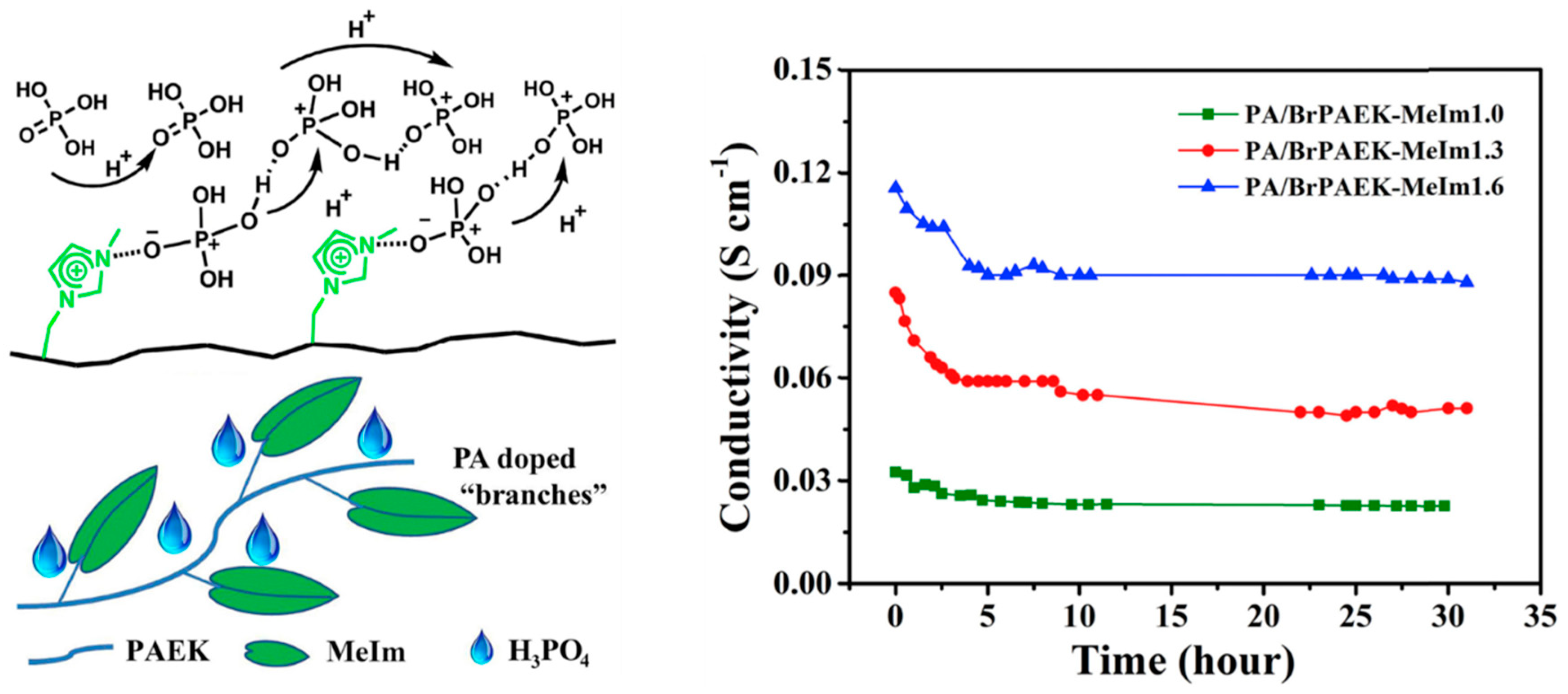 Molecules 29 04480 g012