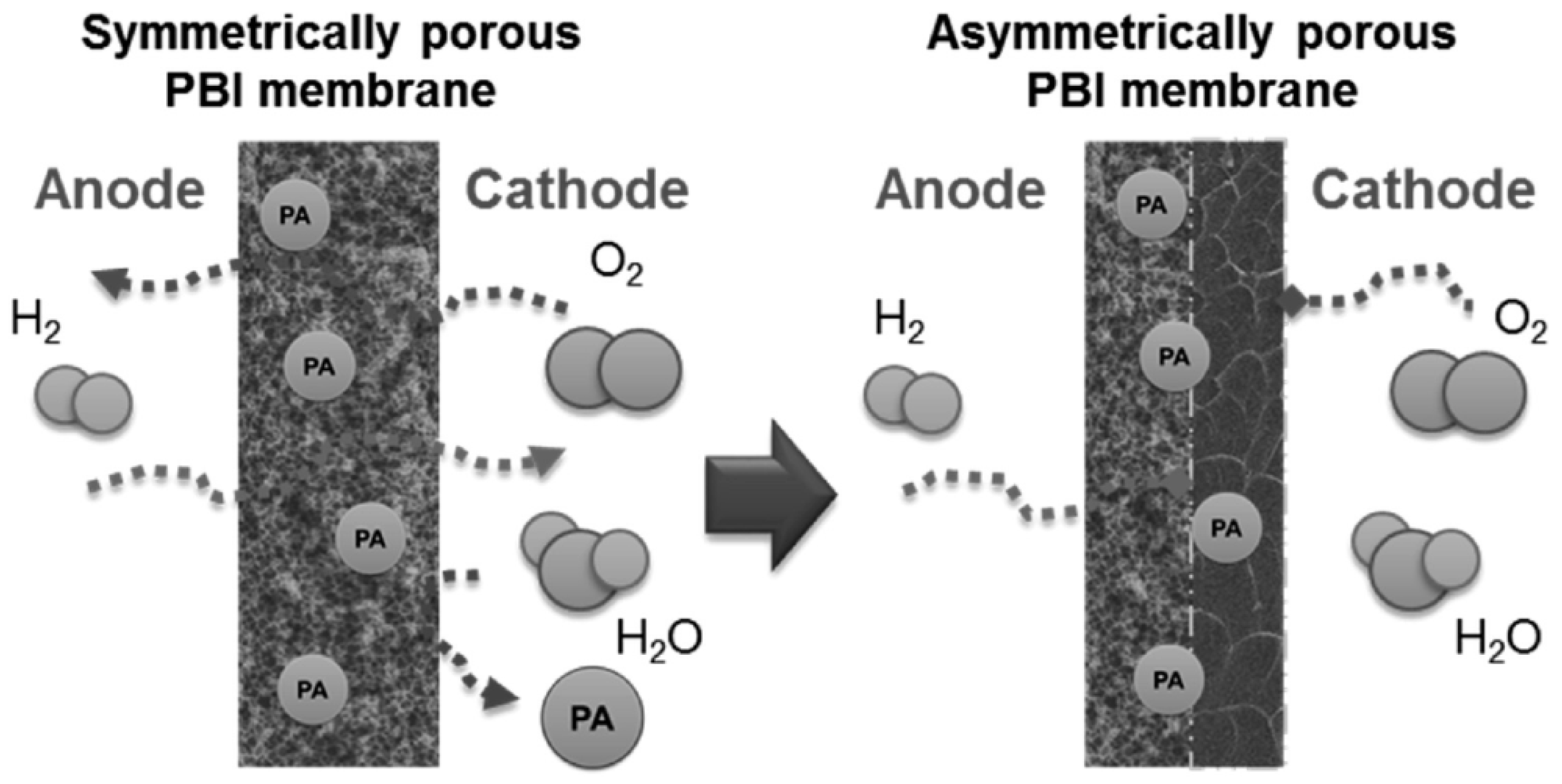 Molecules 29 04480 g015