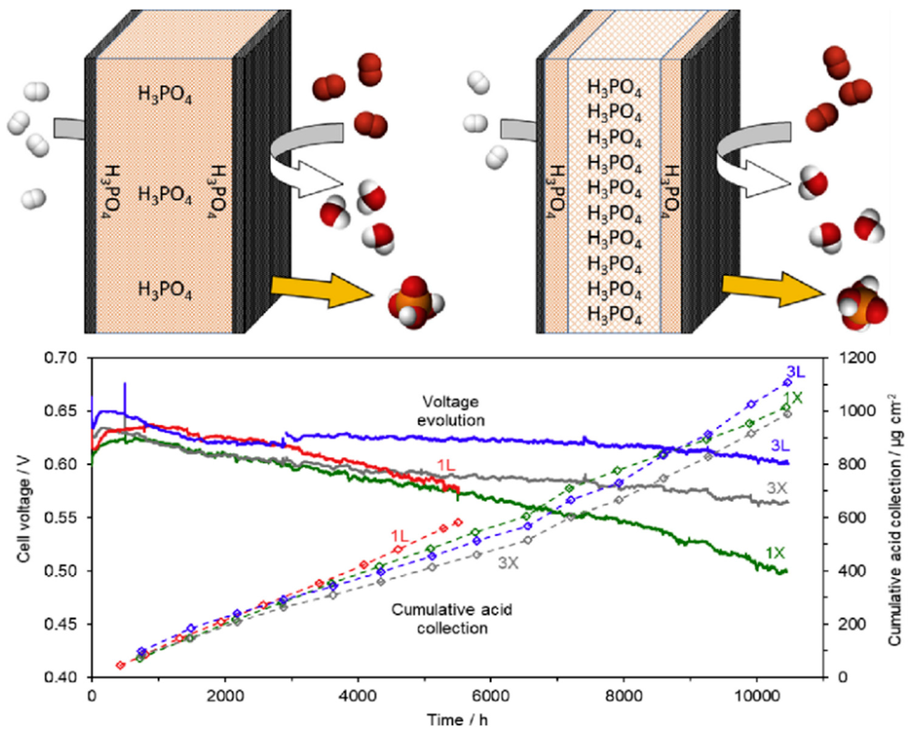 Molecules 29 04480 g016