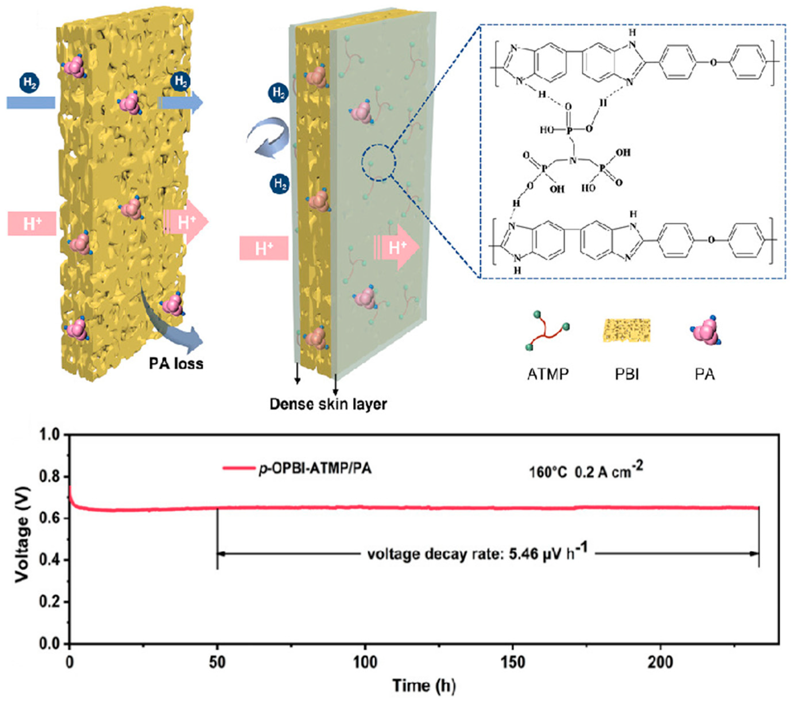 Molecules 29 04480 g017