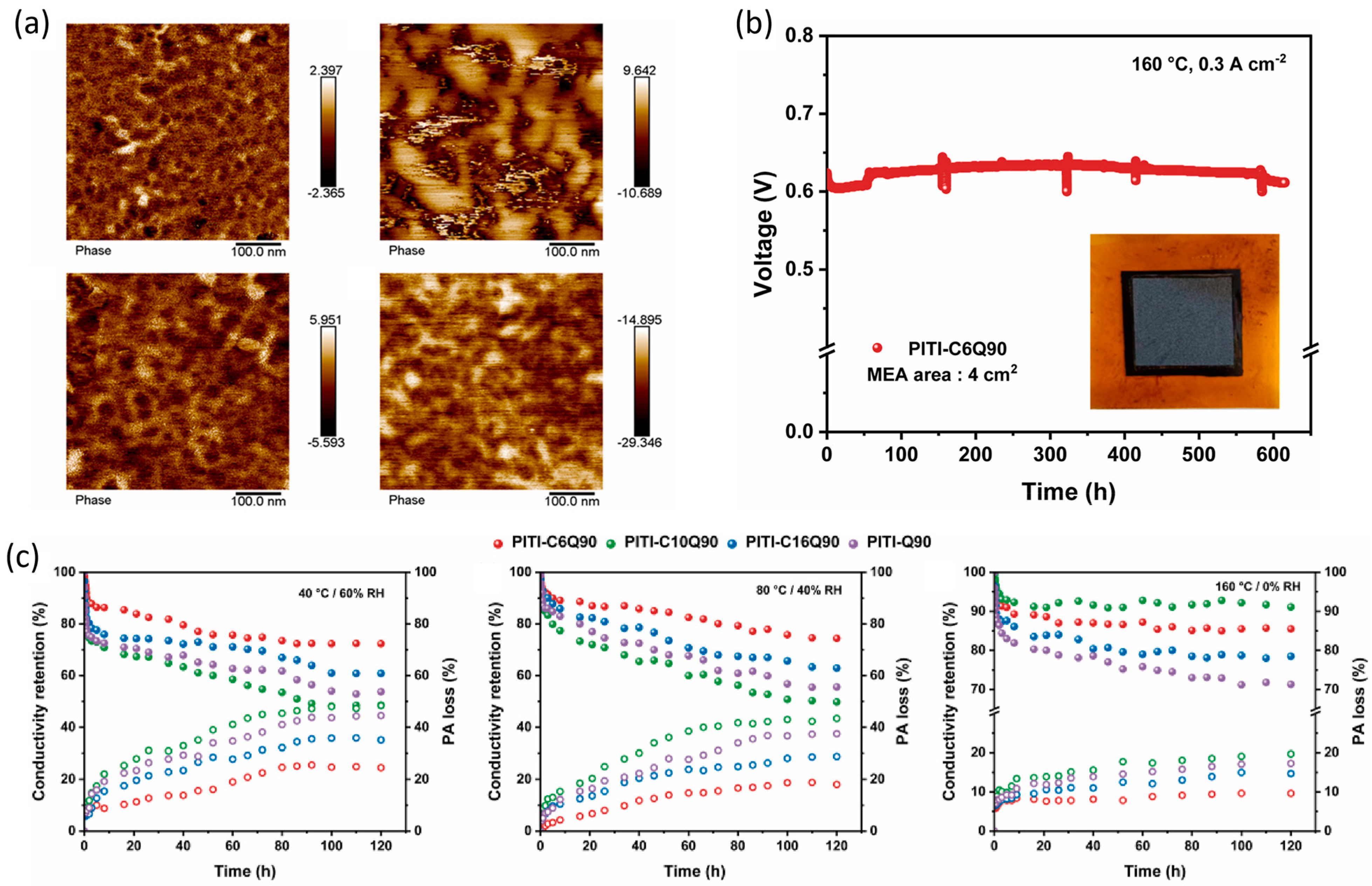 Molecules 29 04480 g019