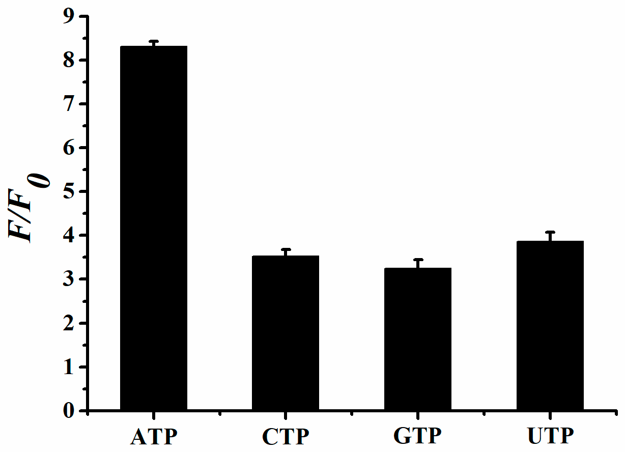 Molecules 29 04490 g006 Molecules 29 04490 g006
