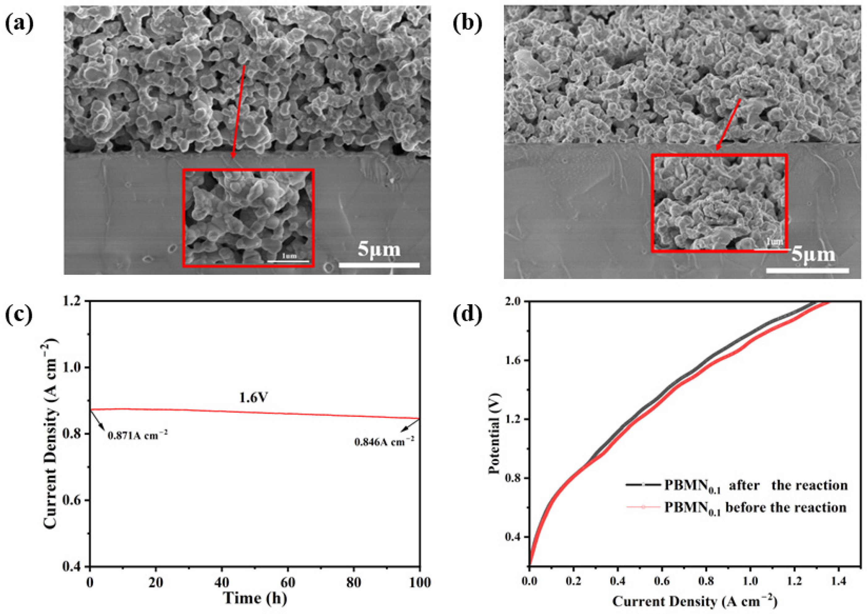 Molecules 29 04492 g009