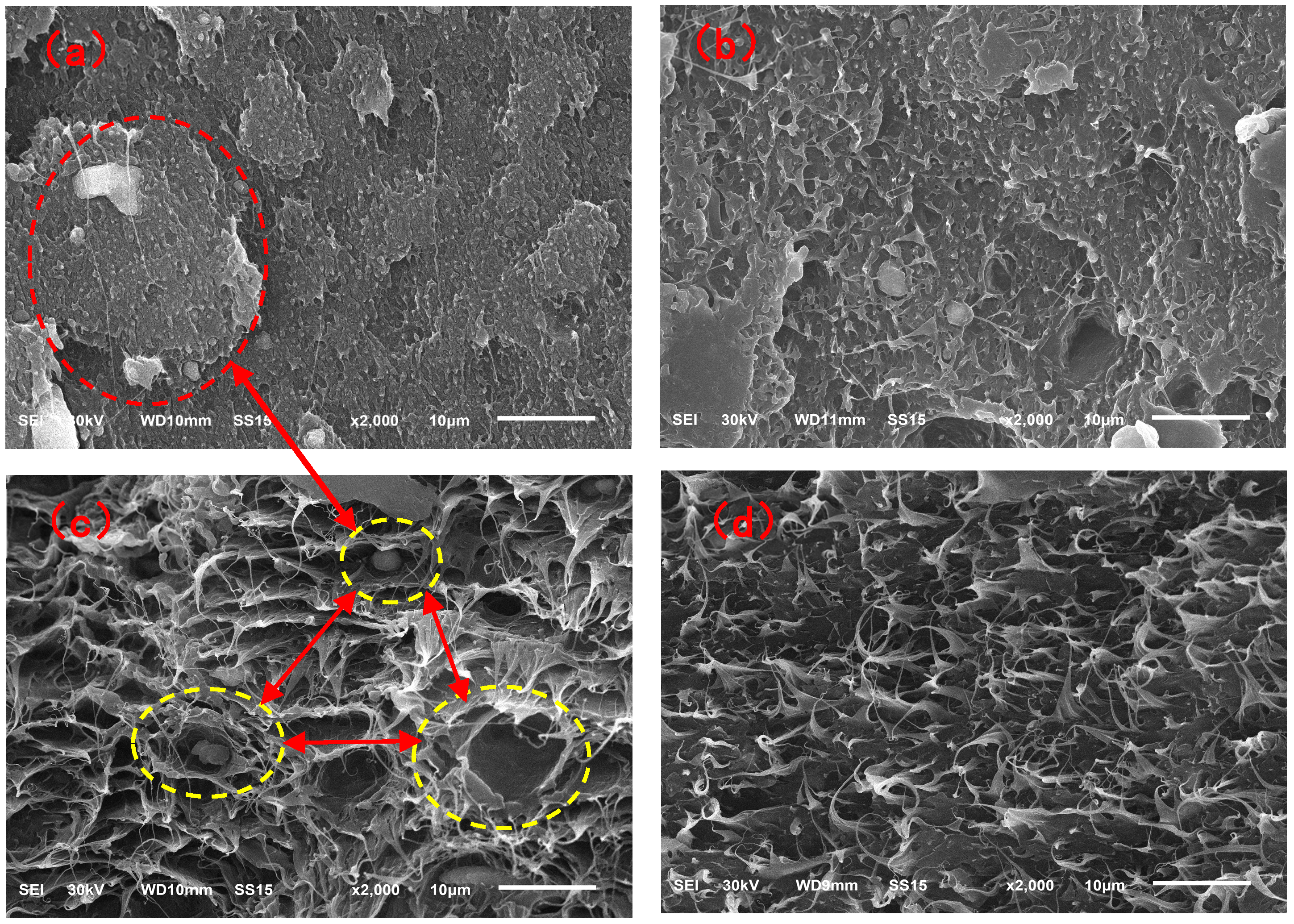 Molecules 29 04499 g012
