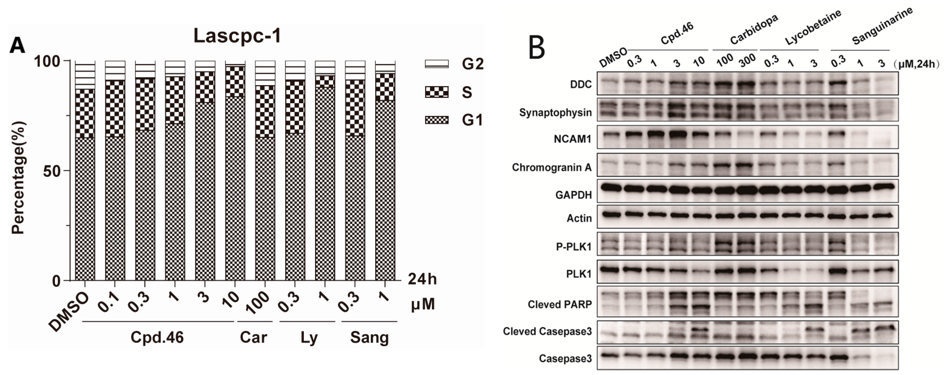 Molecules 29 04503 g003