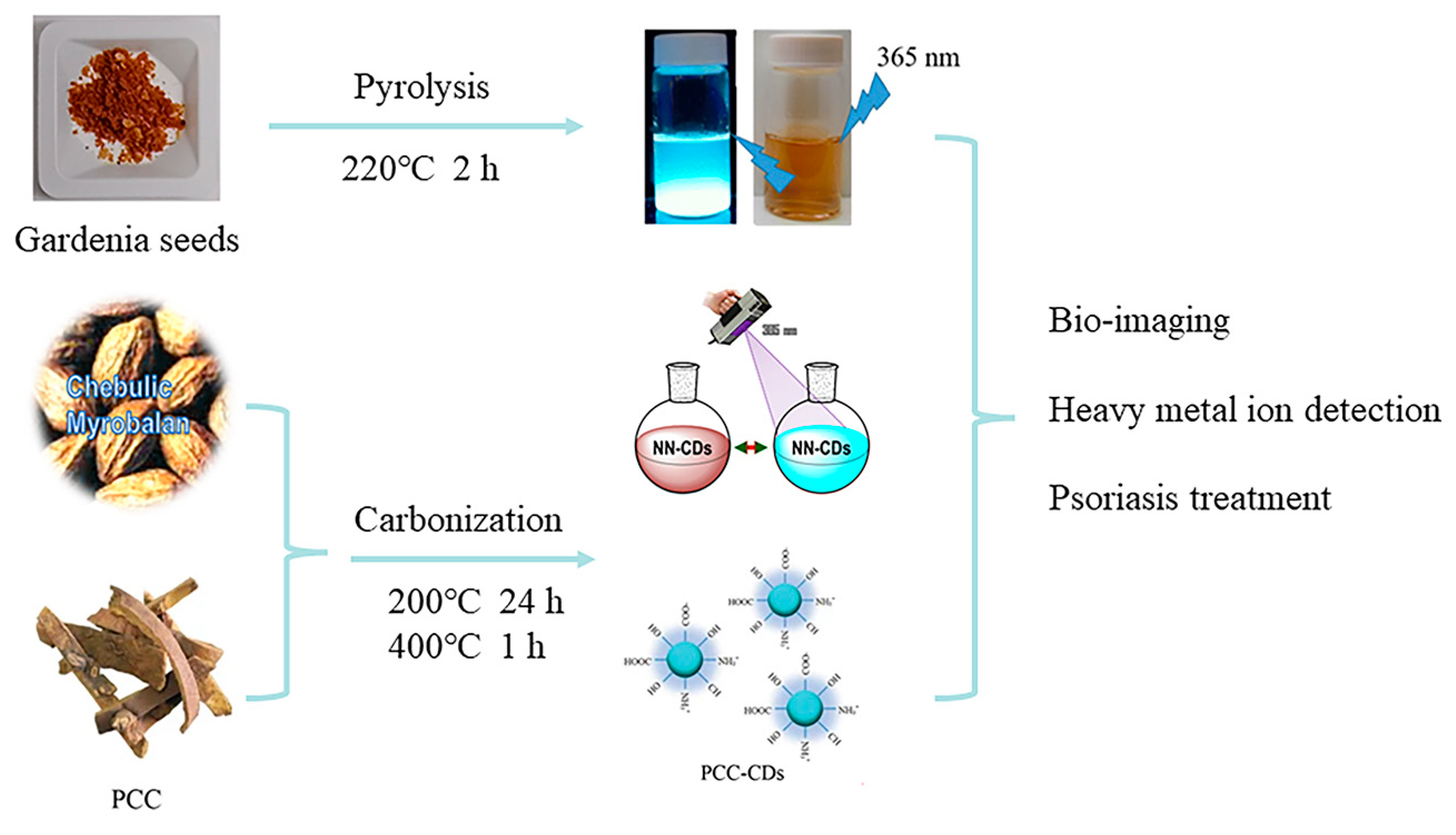 Molecules 29 04508 g007