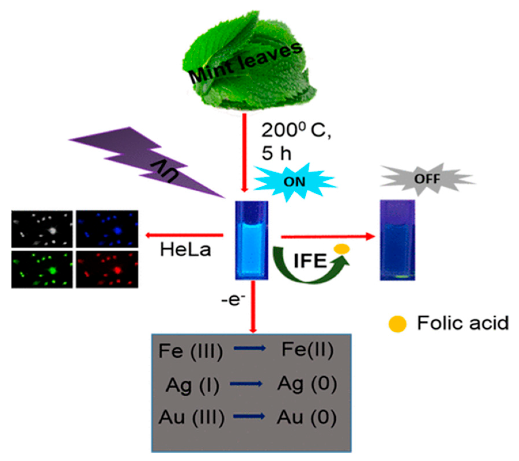 Molecules 29 04508 g012