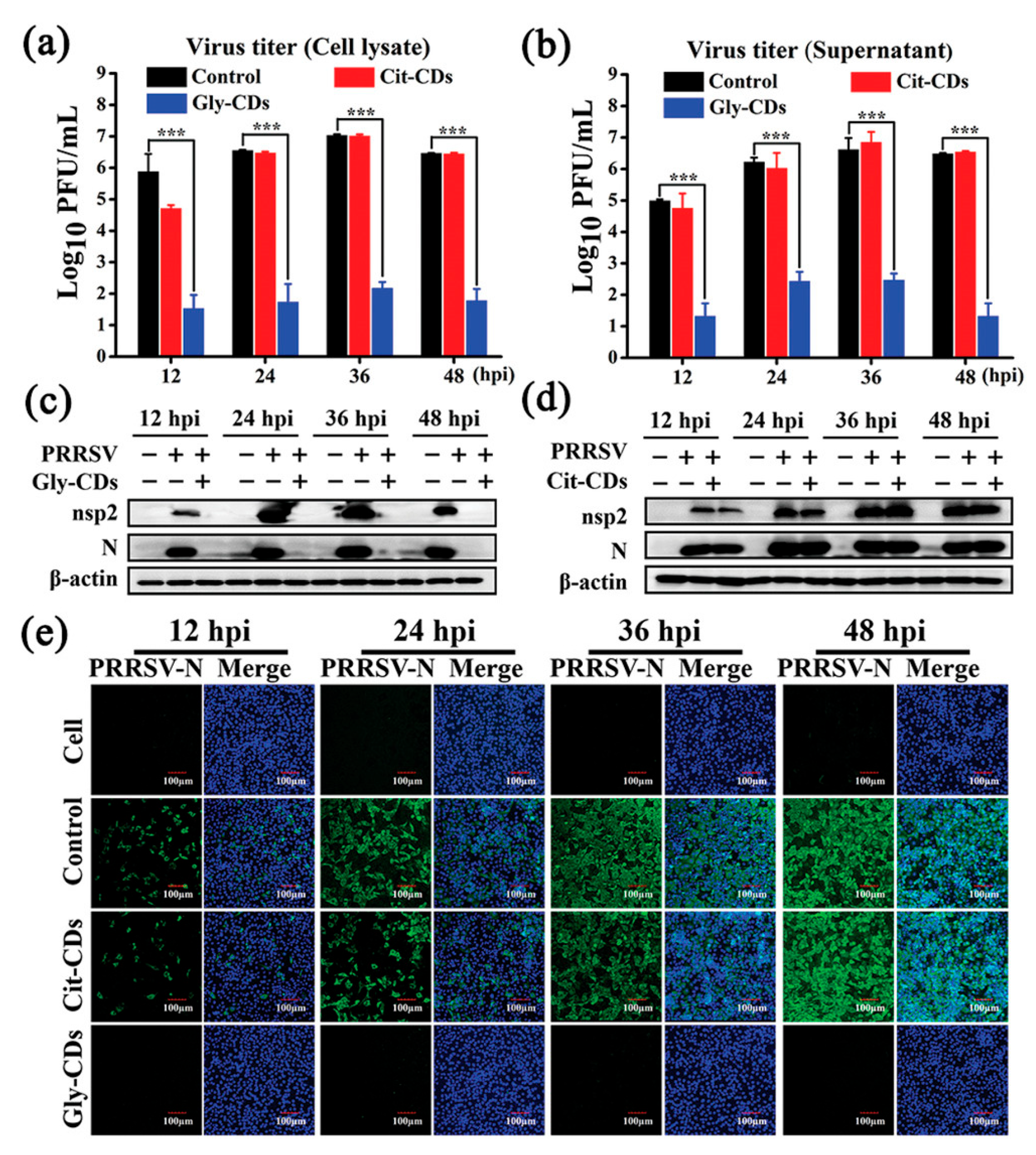 Molecules 29 04508 g016
