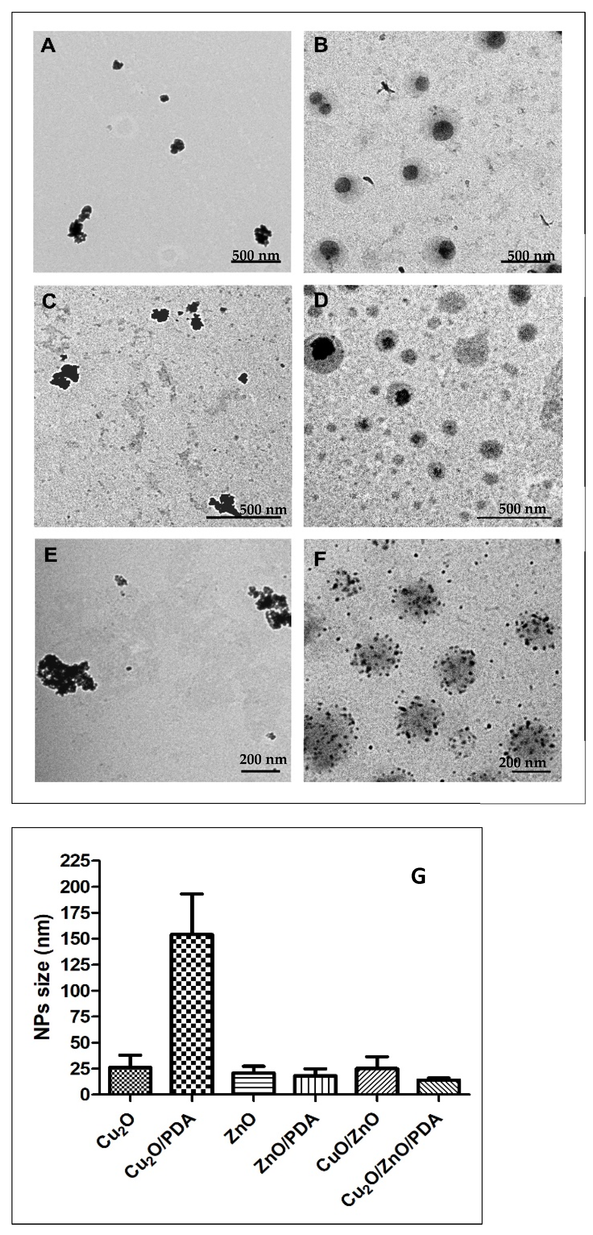 Molecules 29 04512 g001