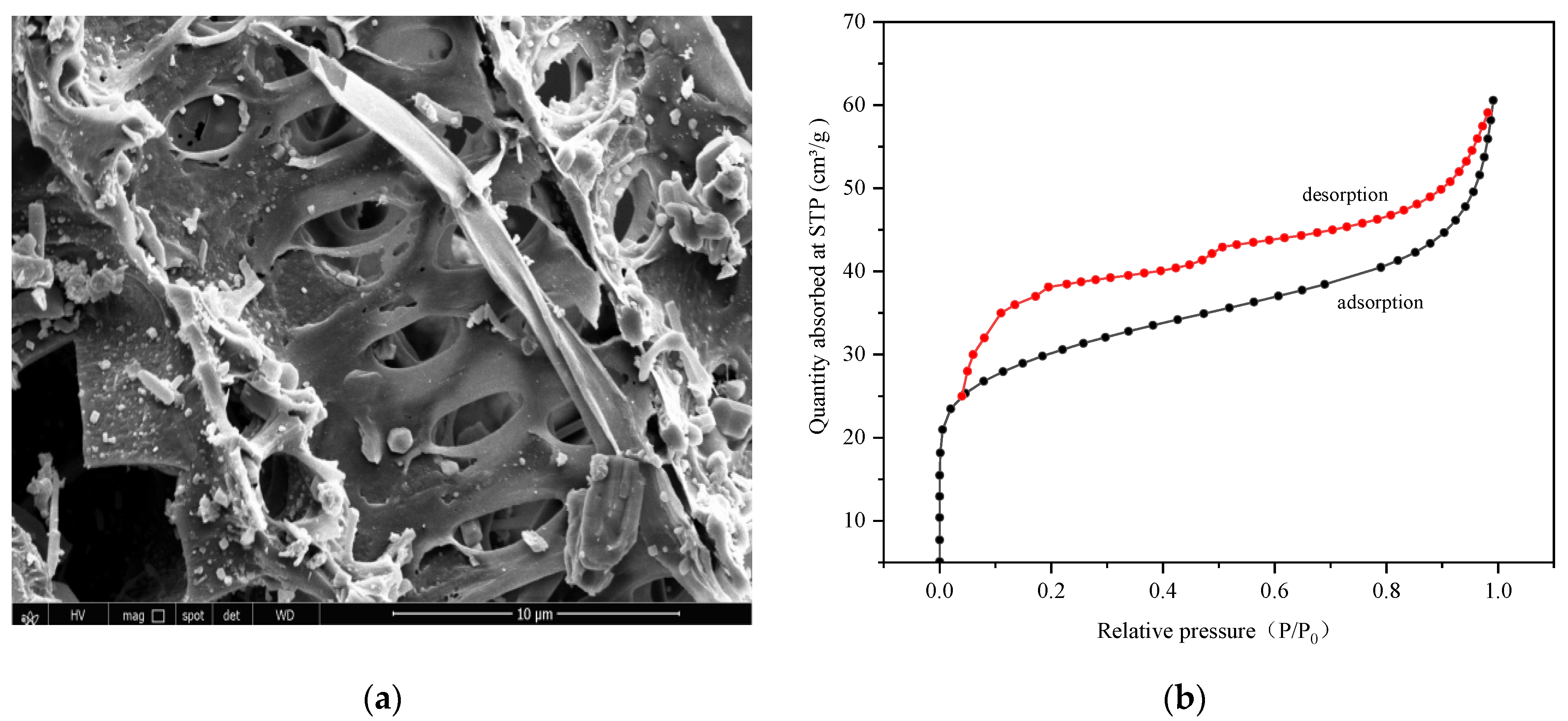 Molecules 29 04517 g001