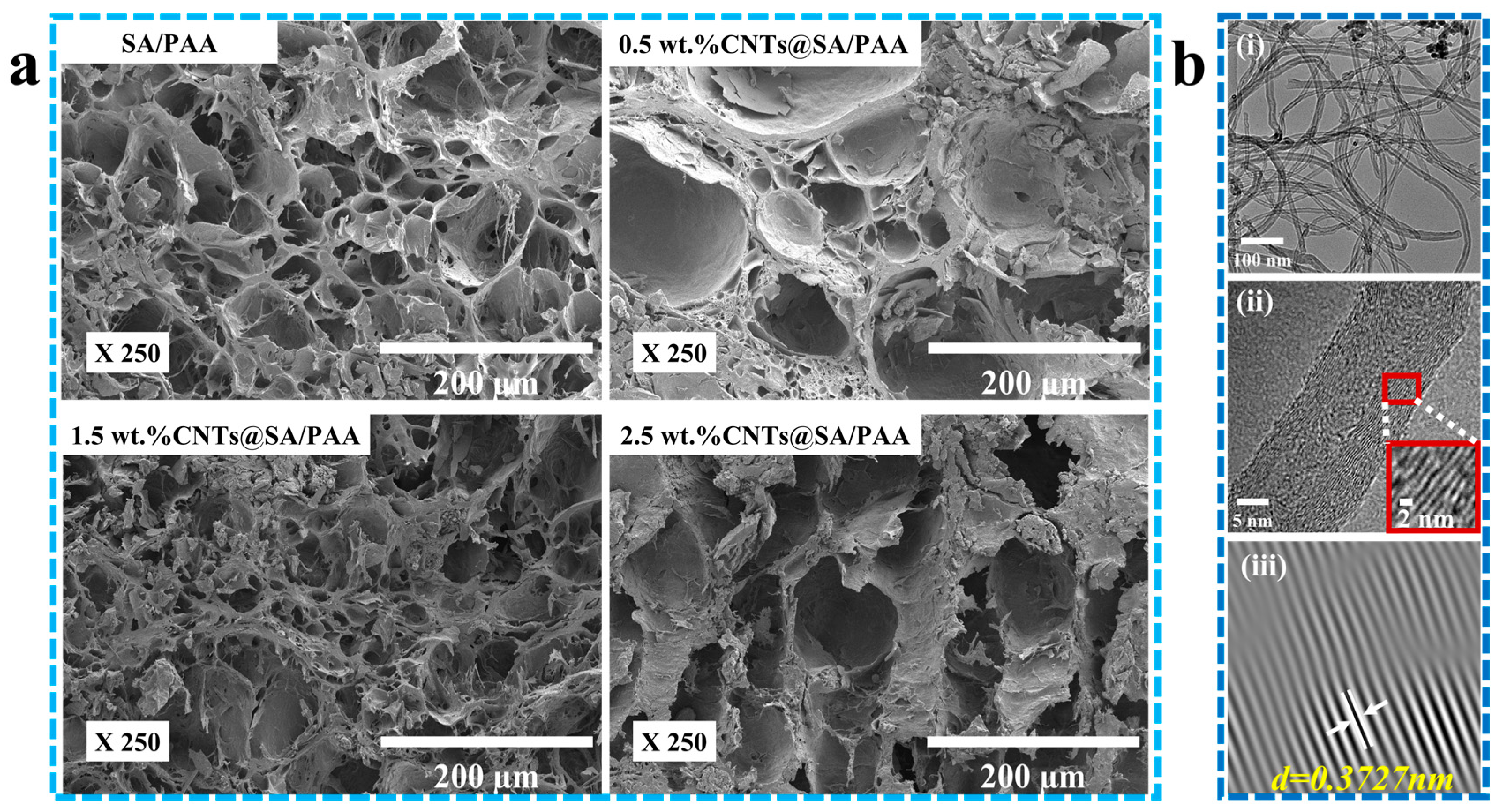 Molecules 29 04518 g001