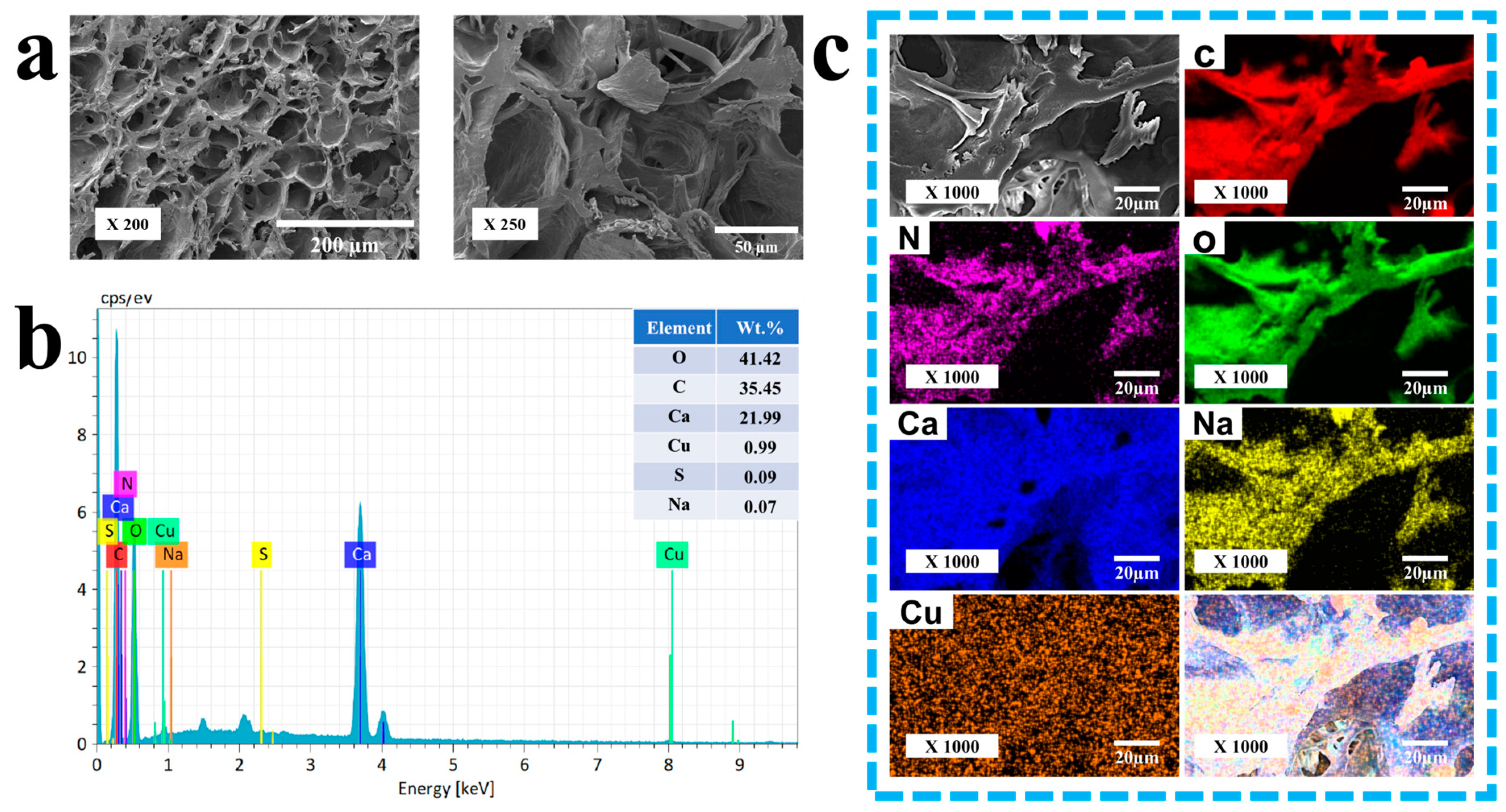 Molecules 29 04518 g006