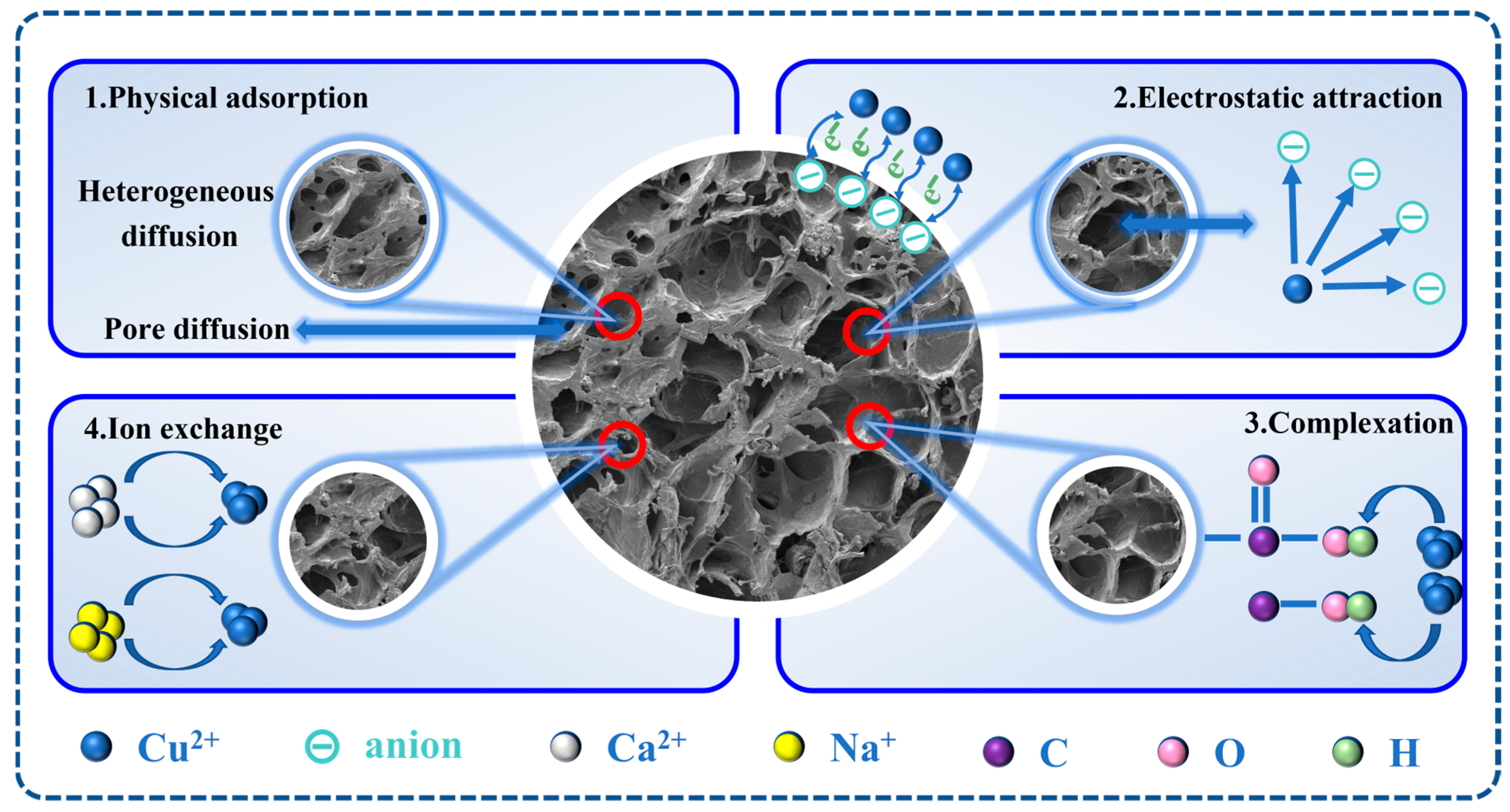 Molecules 29 04518 g011