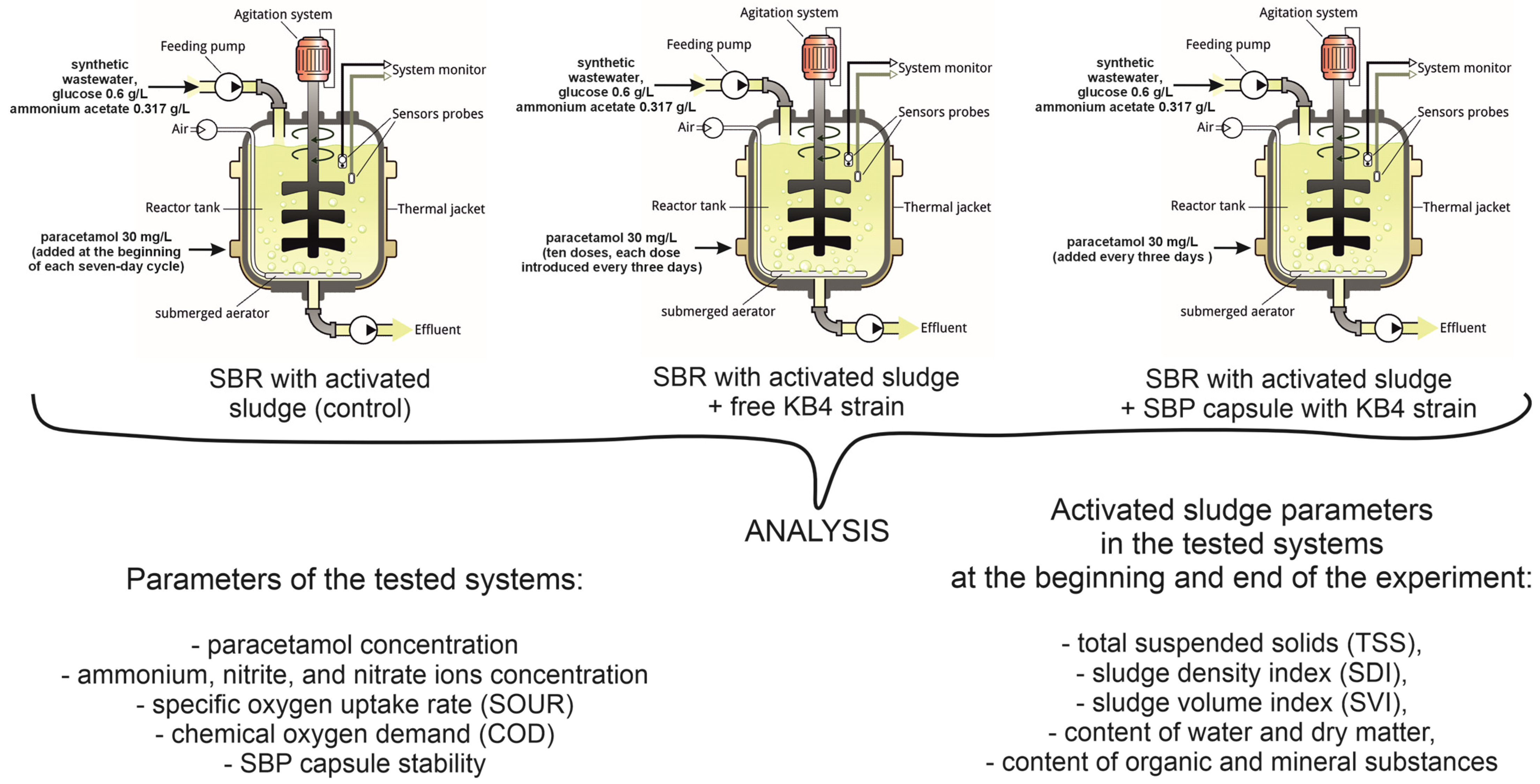 Molecules 29 04520 g005