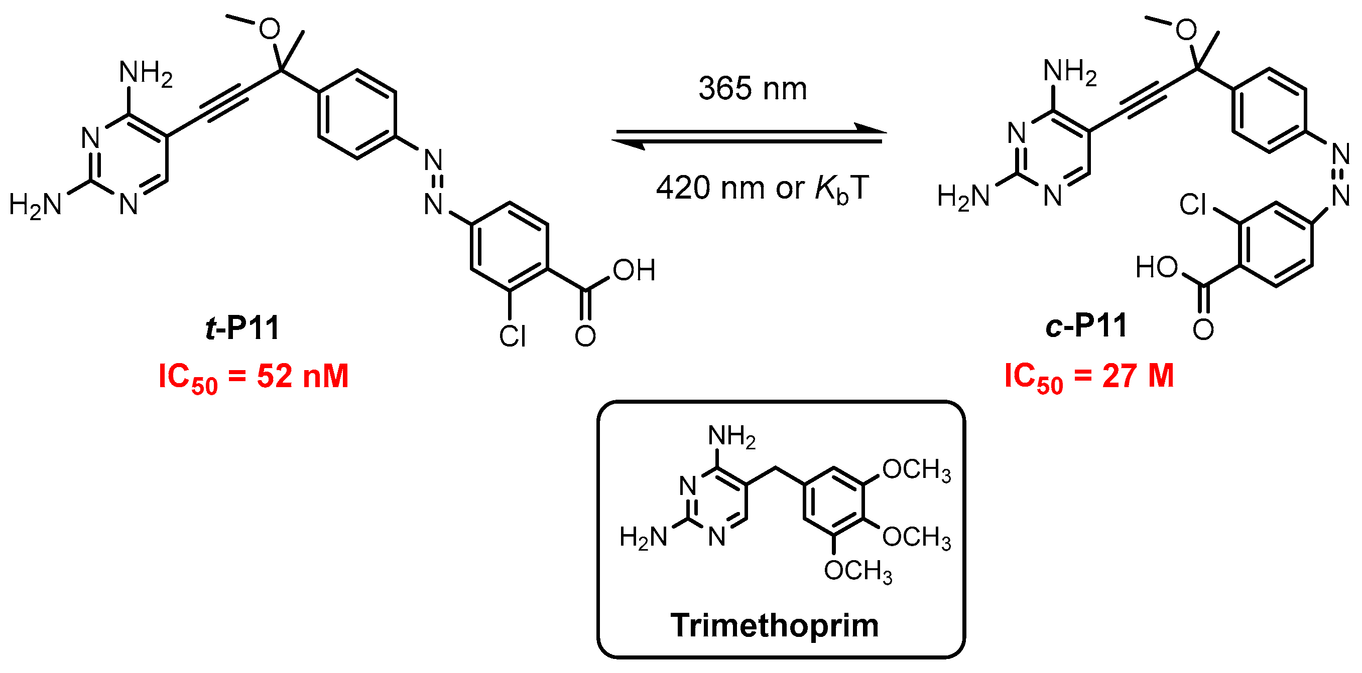 Molecules 29 04523 sch013 Molecules 29 04523 sch013
