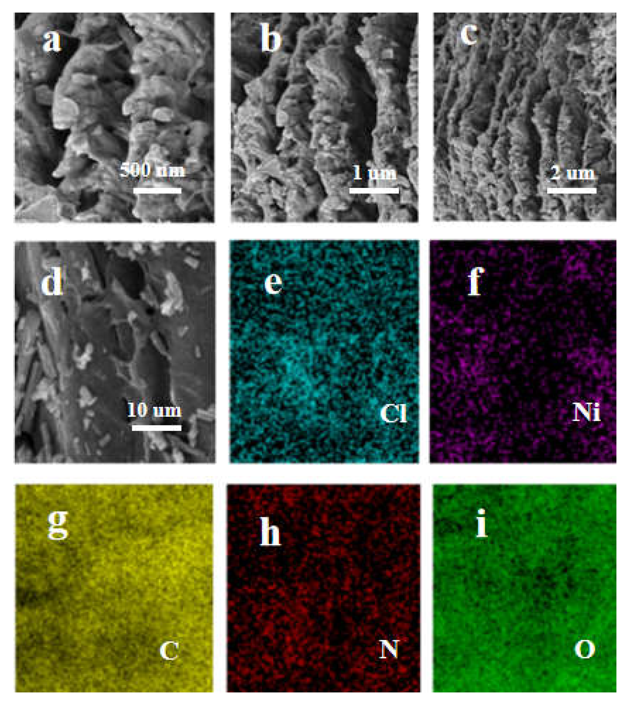 Molecules 29 04525 g006