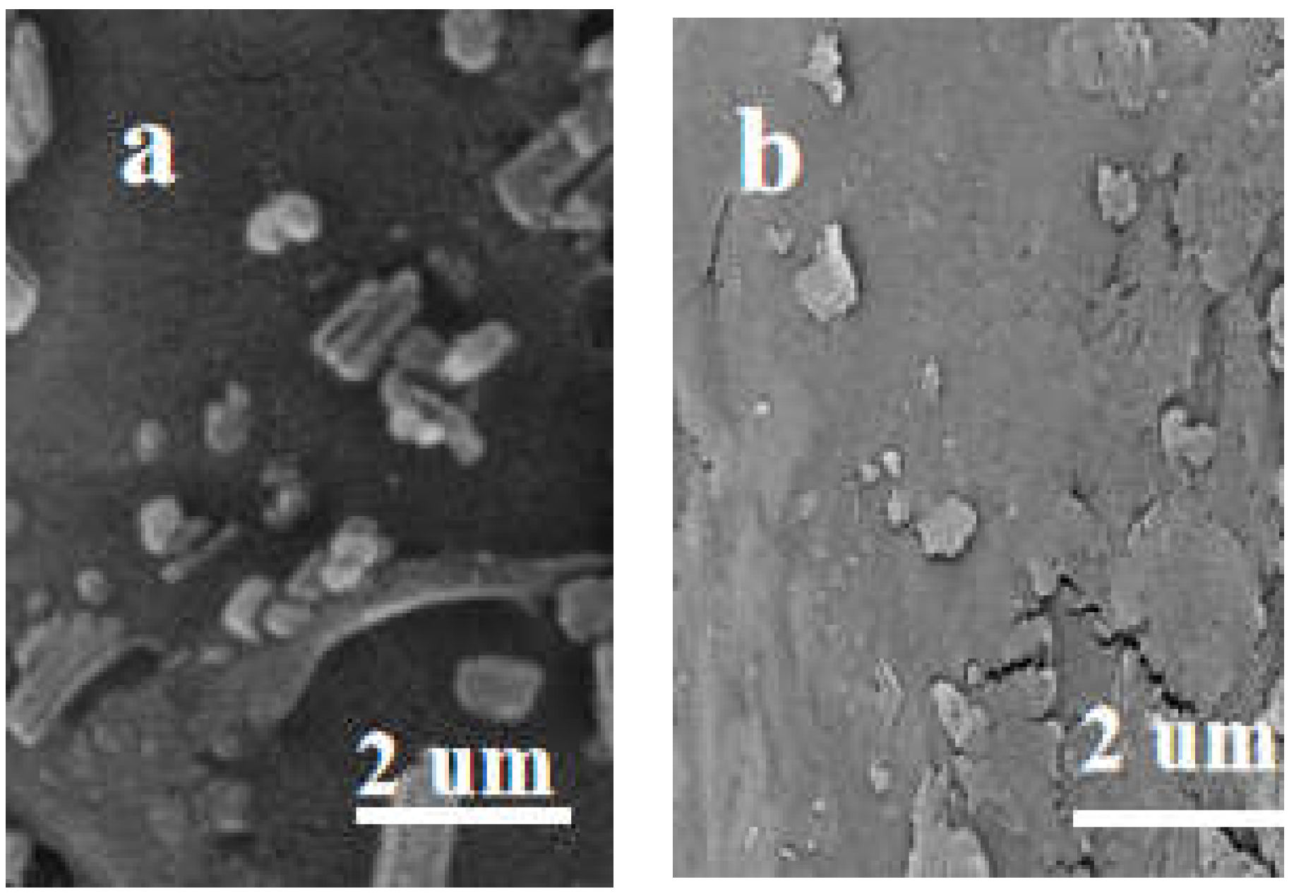 Molecules 29 04525 g008