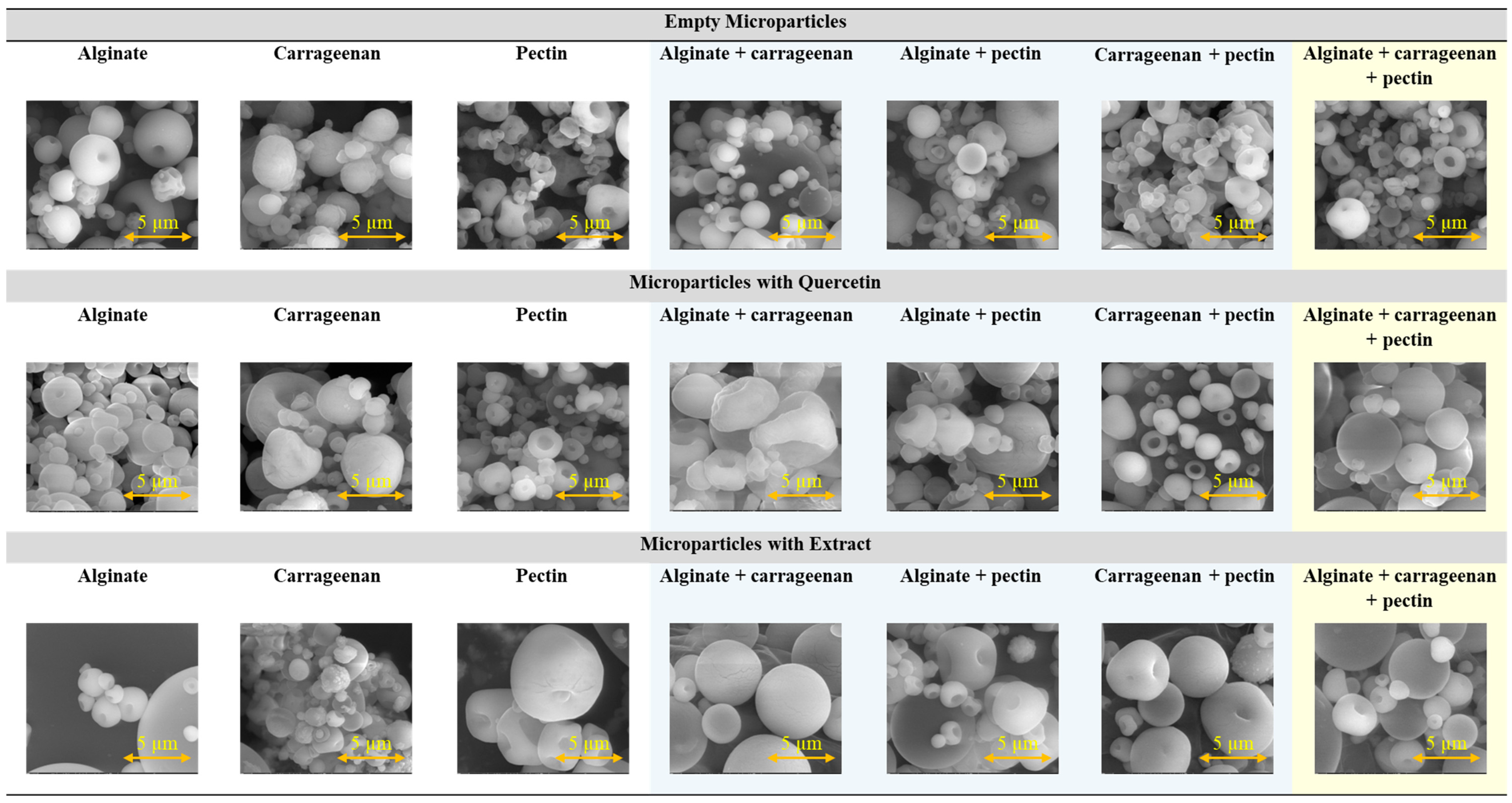 Molecules 29 04528 g001