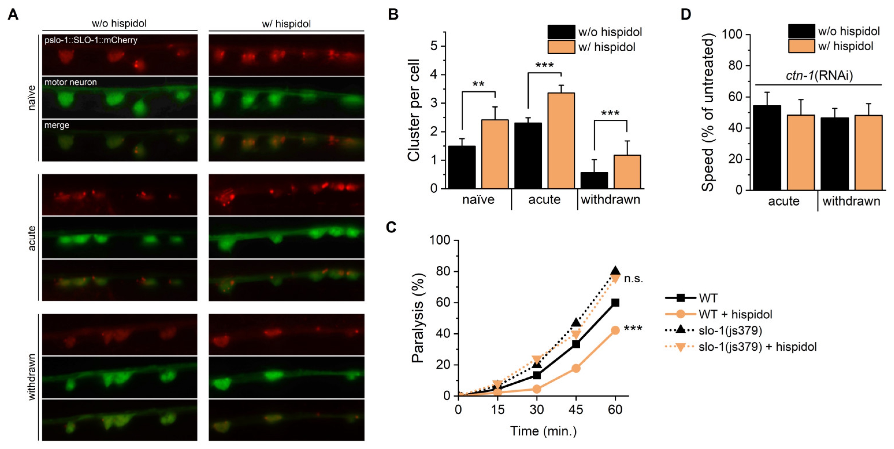 Molecules 29 04531 g004 Molecules 29 04531 g004