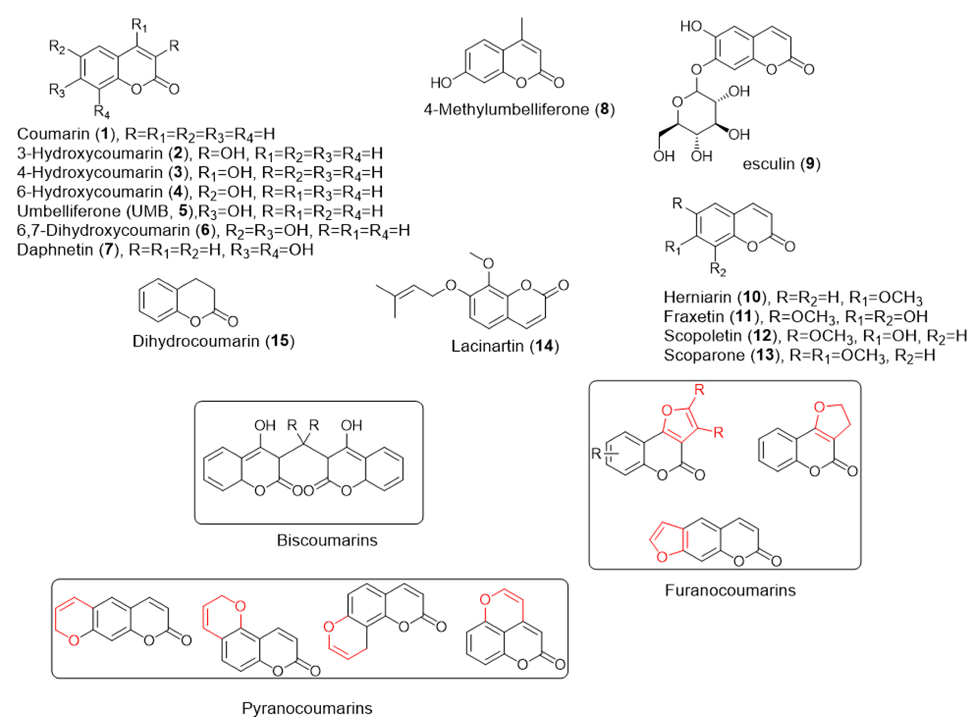 Molecules 29 04534 g001