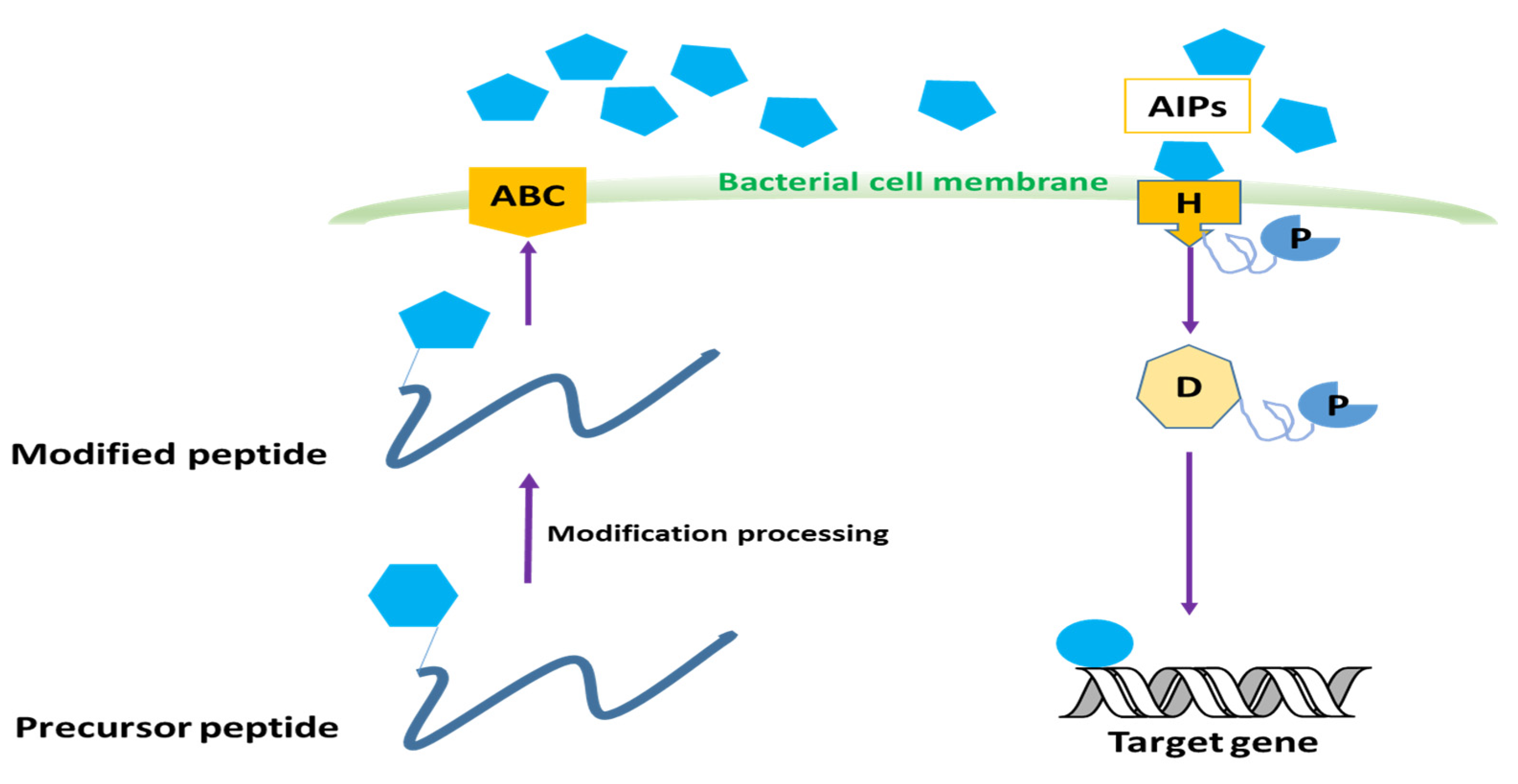 Molecules 29 04534 g003