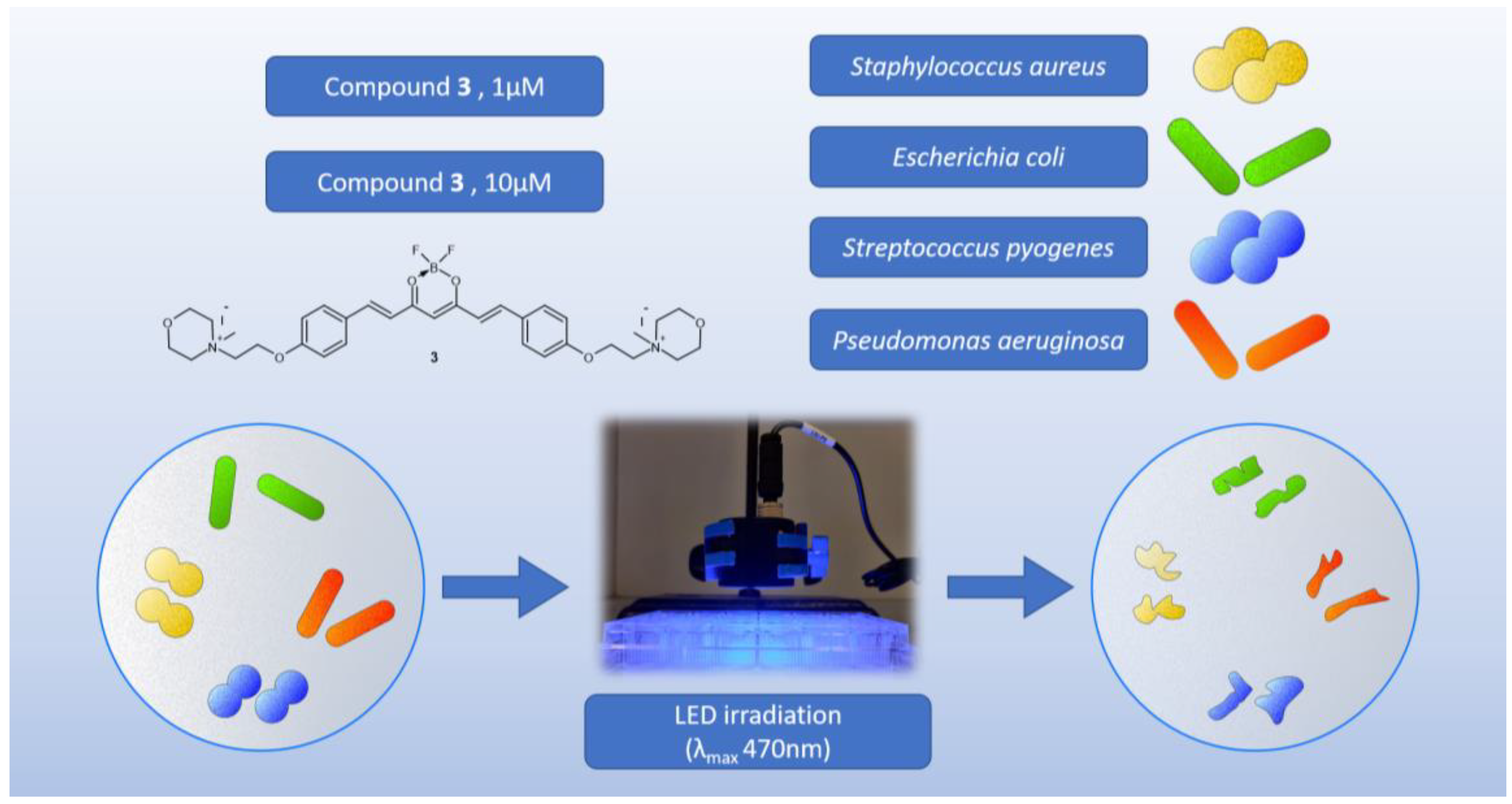 Molecules 29 04536 g012