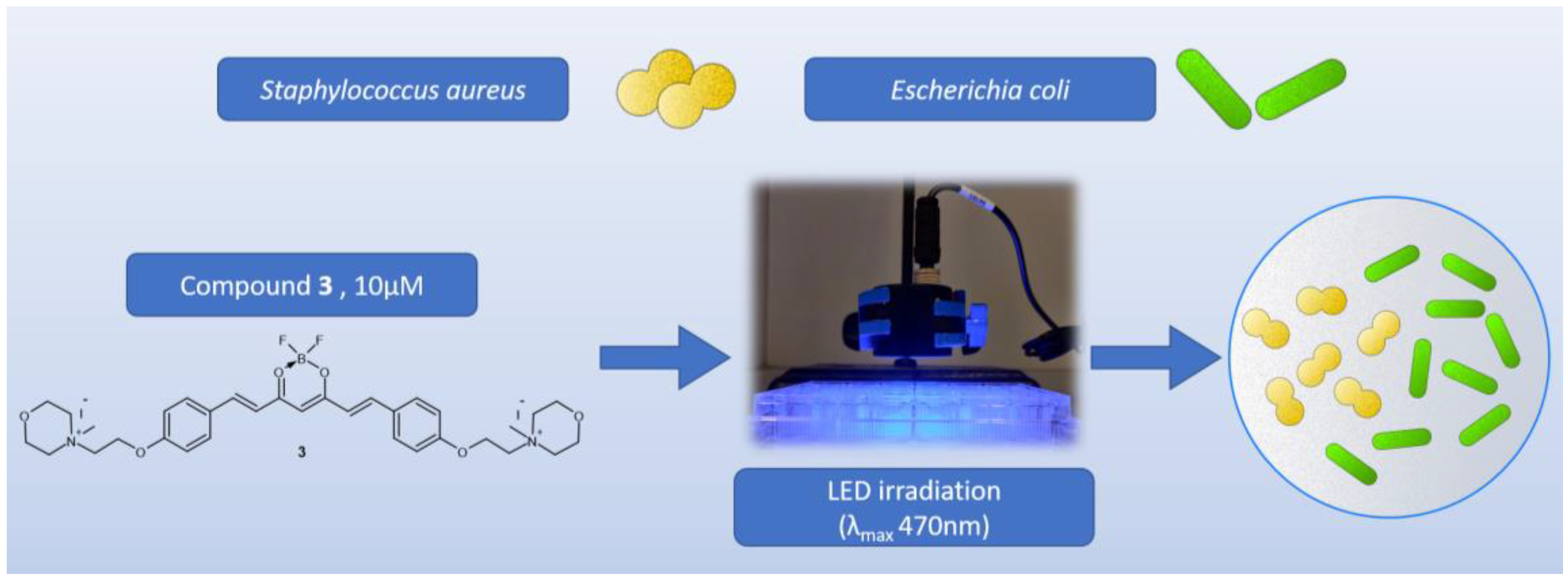 Molecules 29 04536 g013