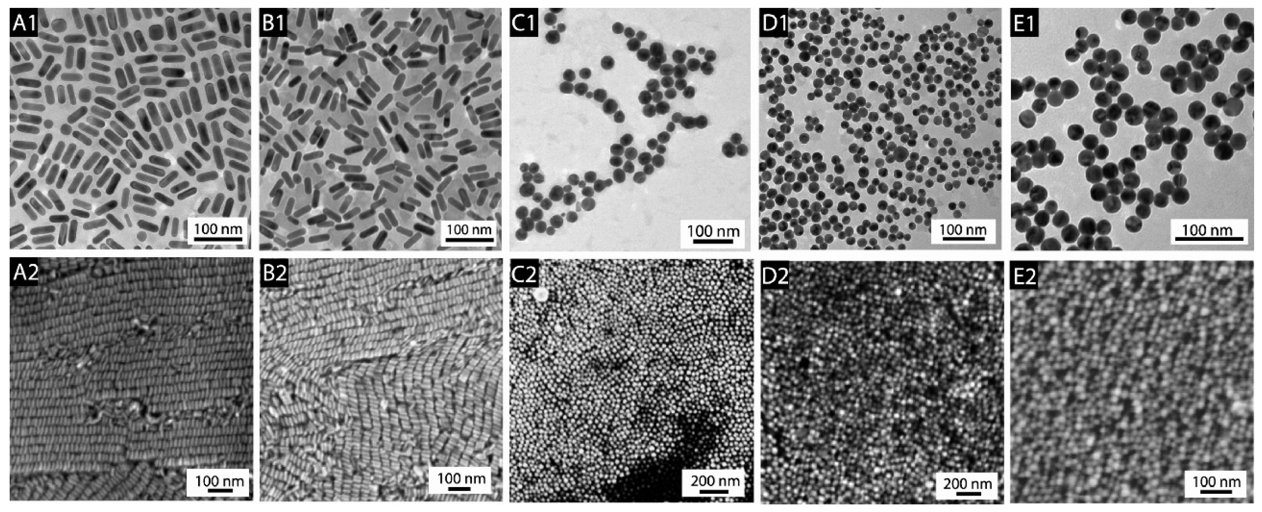 Molecules 29 04540 g001