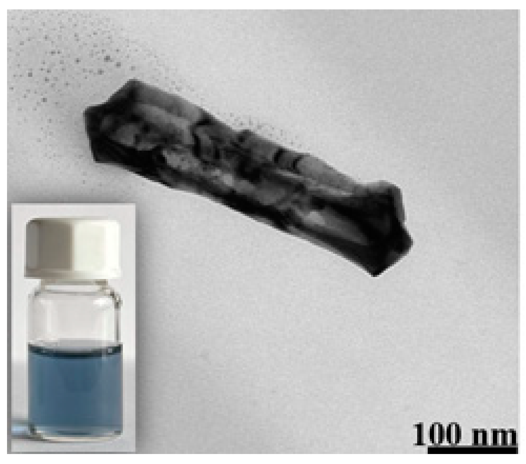 Molecules 29 04540 g003