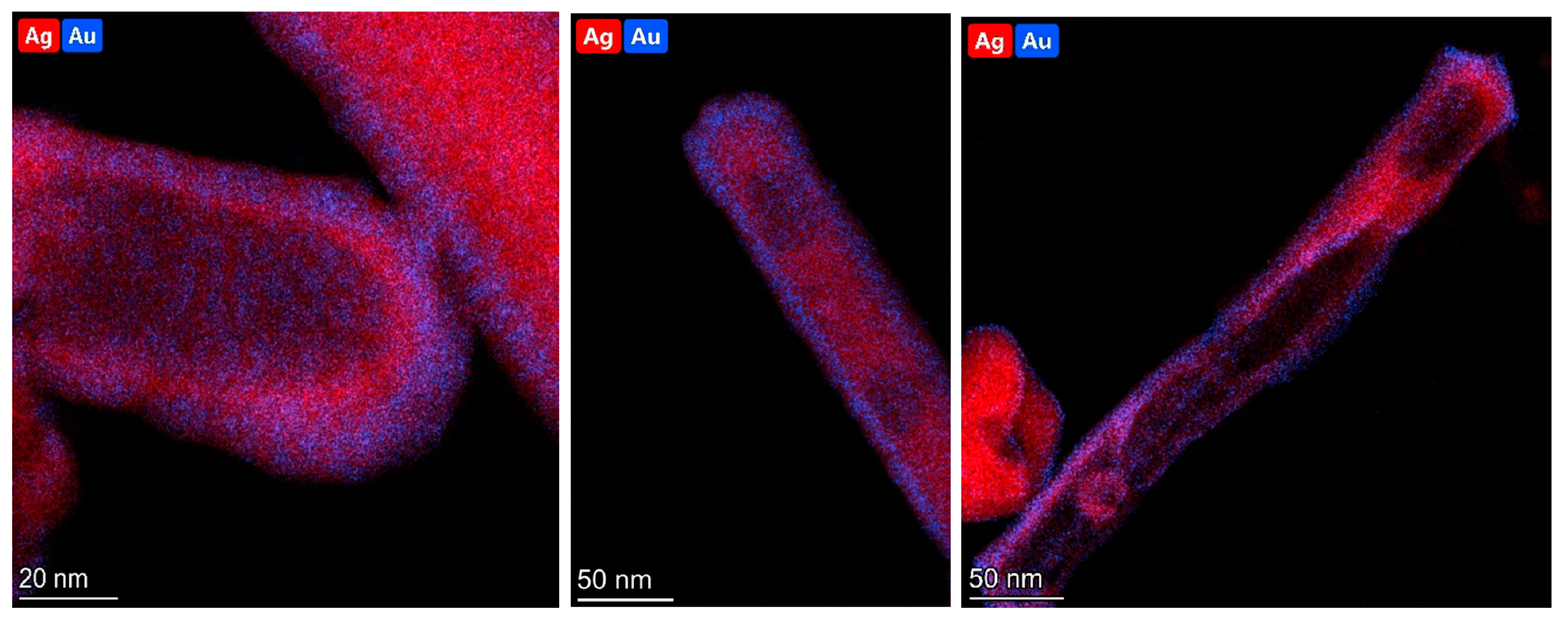 Molecules 29 04540 g007