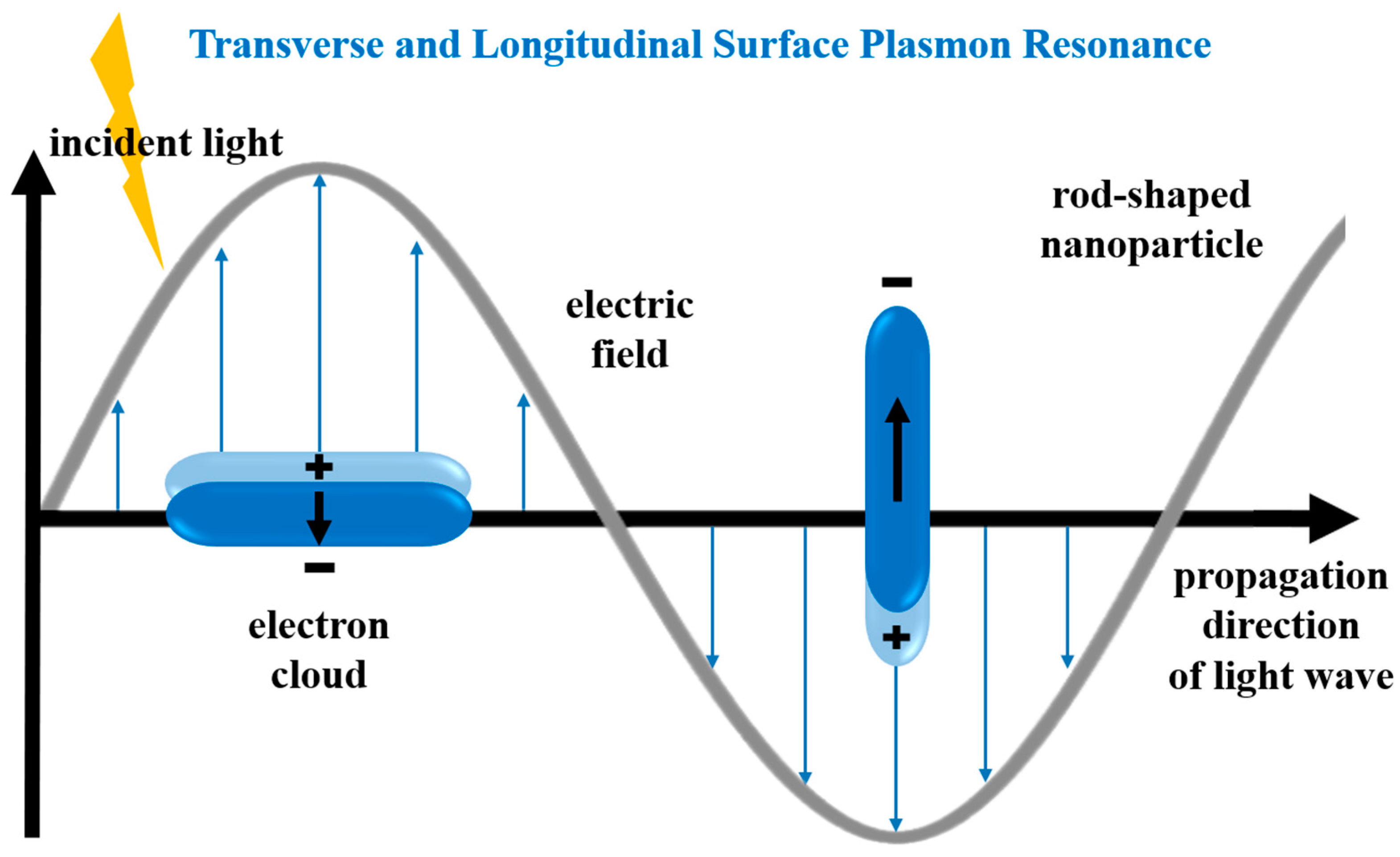 Molecules 29 04540 g008