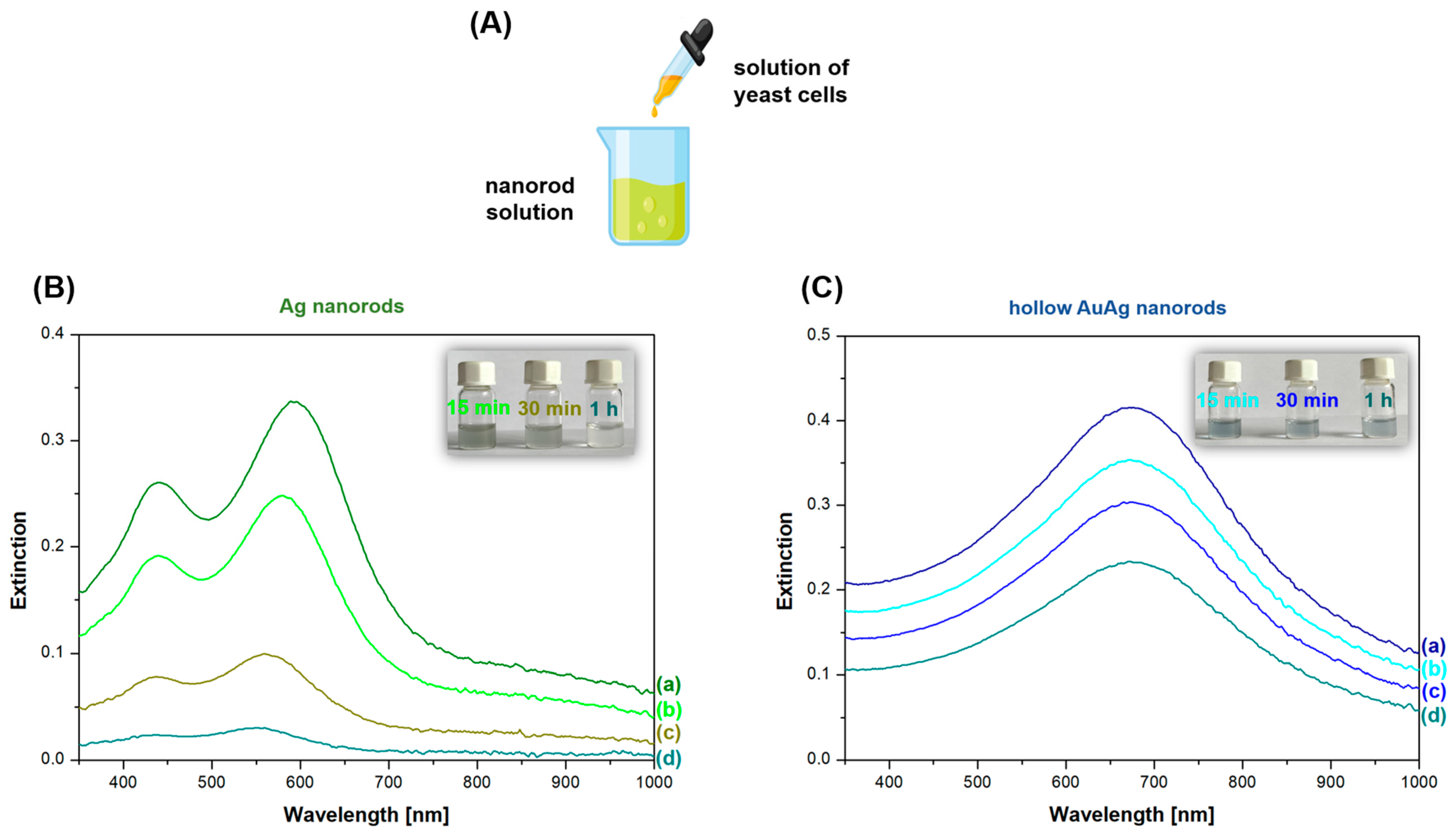 Molecules 29 04540 g012